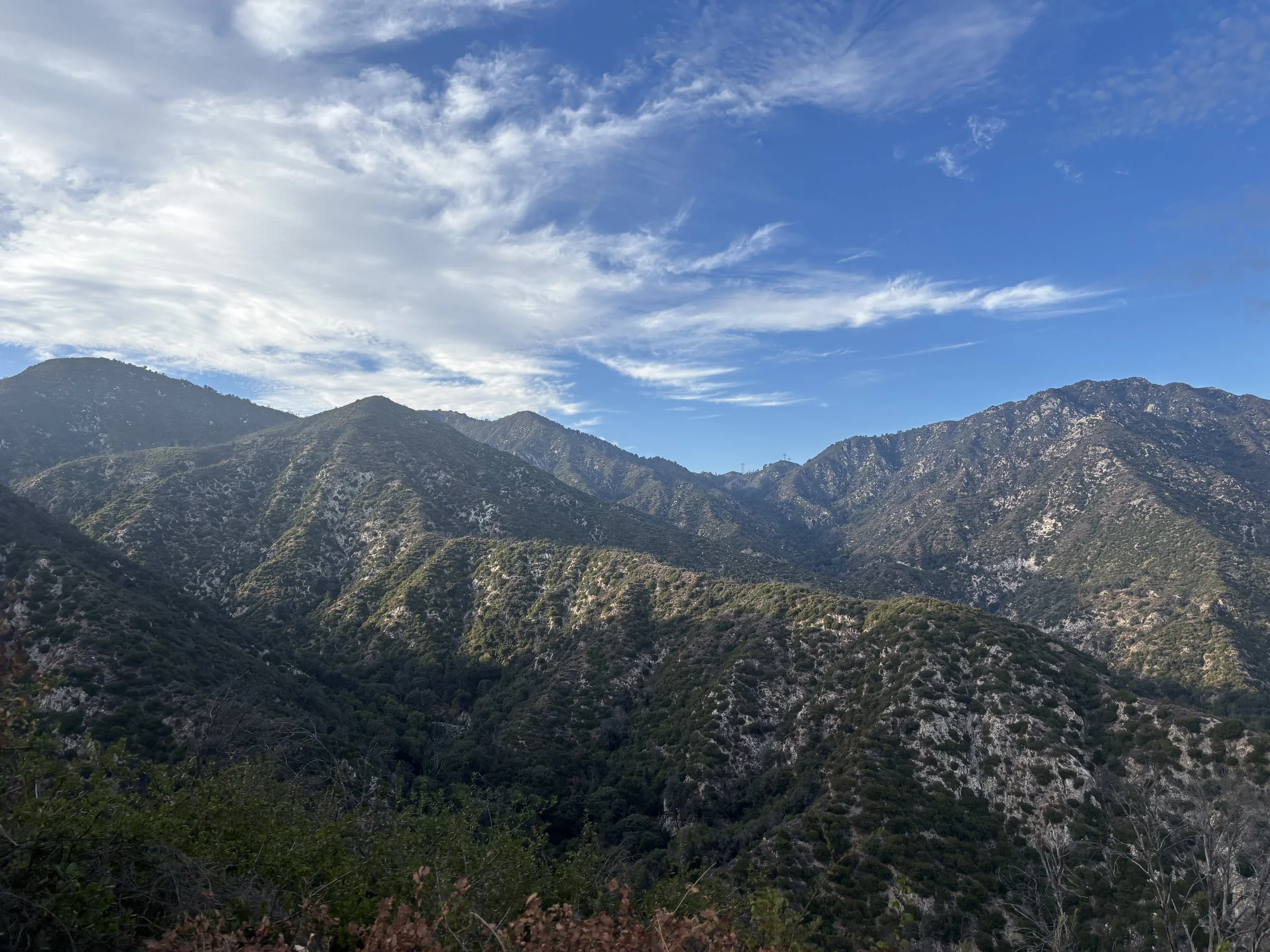 IMG_6082.jpeg