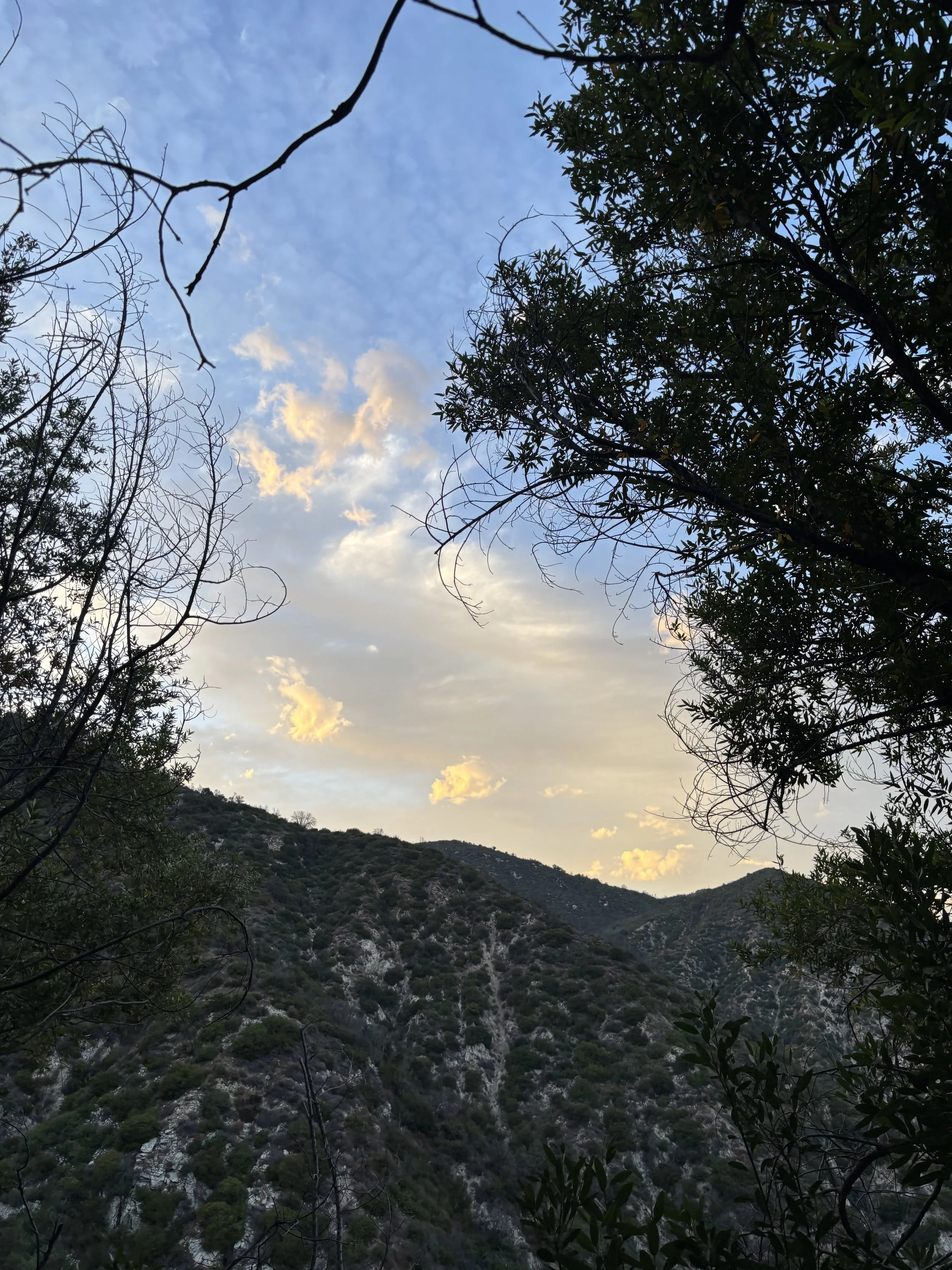 IMG_6173.jpeg