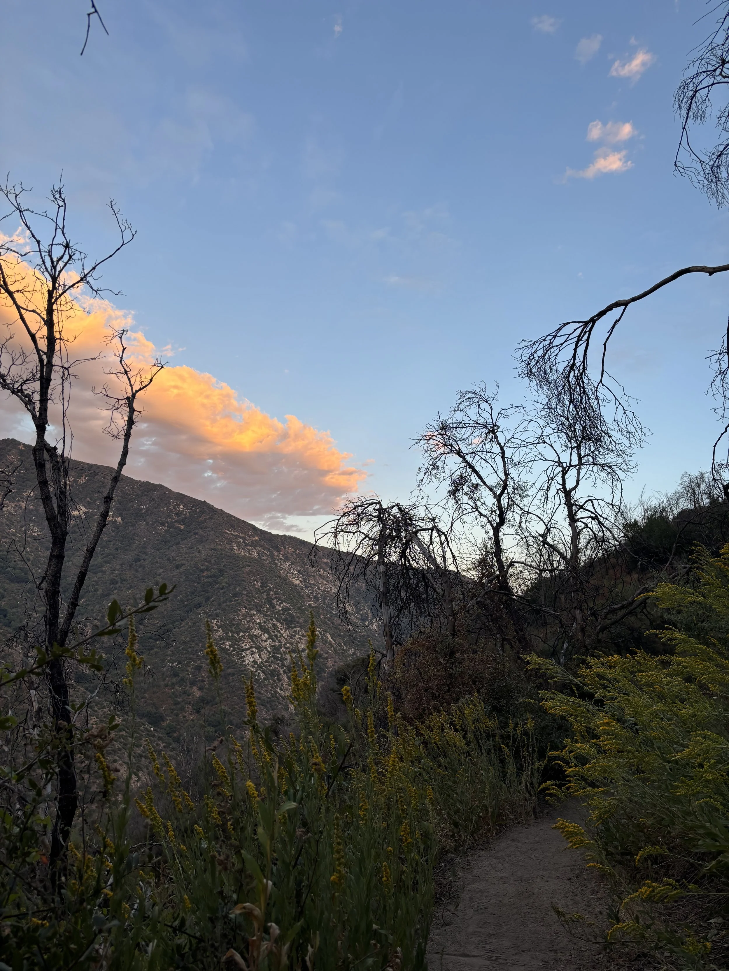 IMG_6190.jpeg