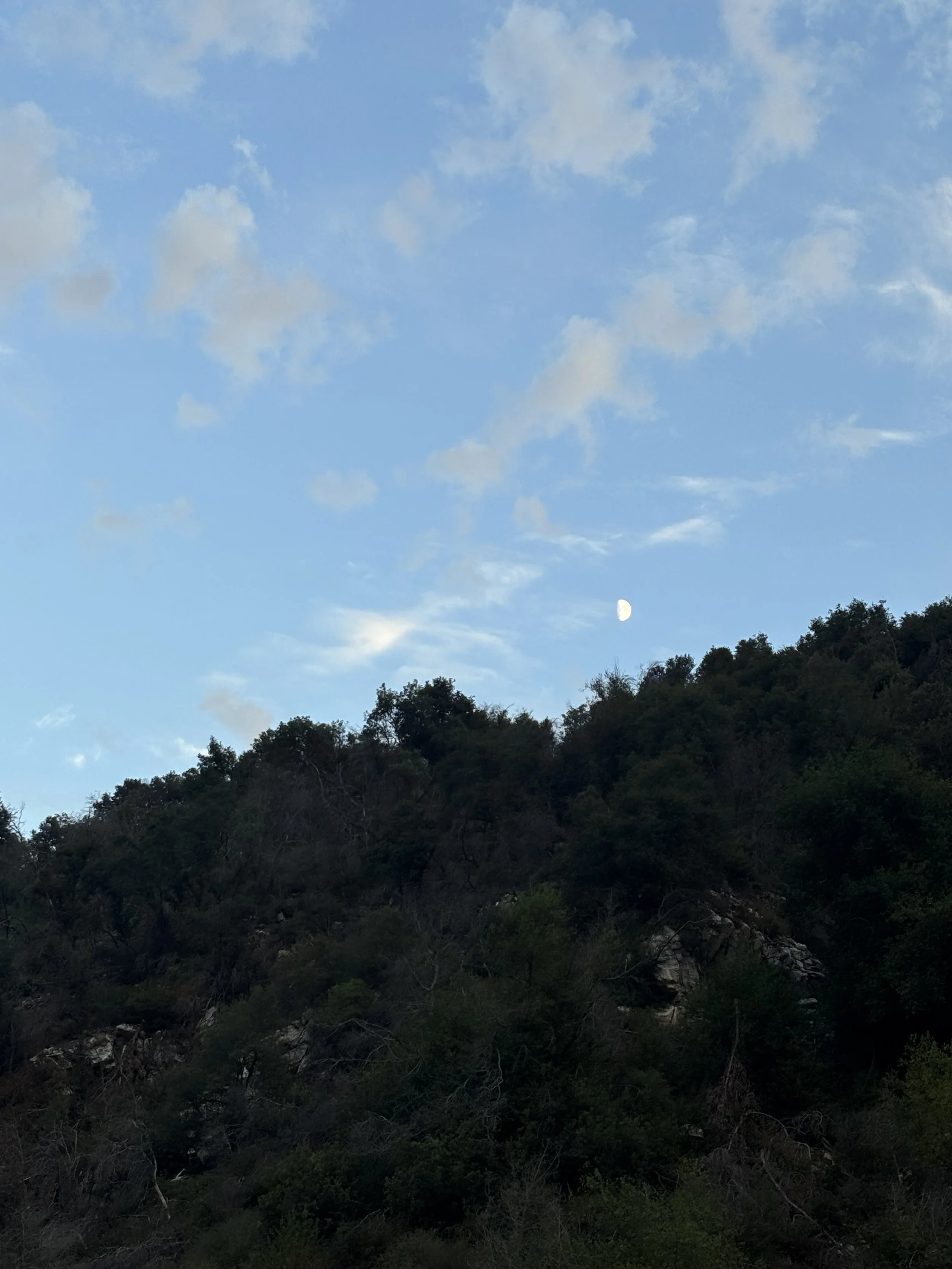 IMG_6167.jpeg