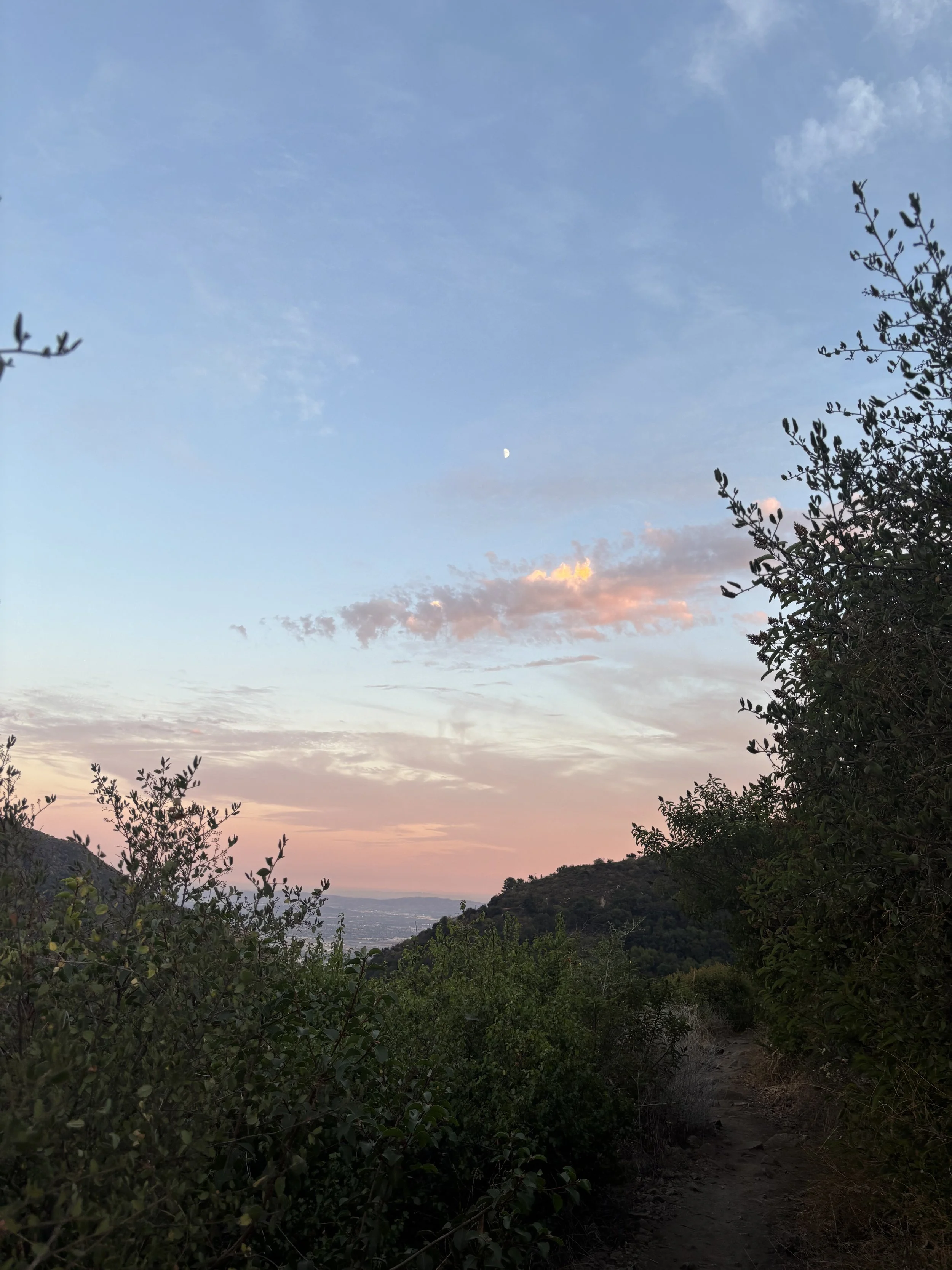 IMG_6197 2.jpeg