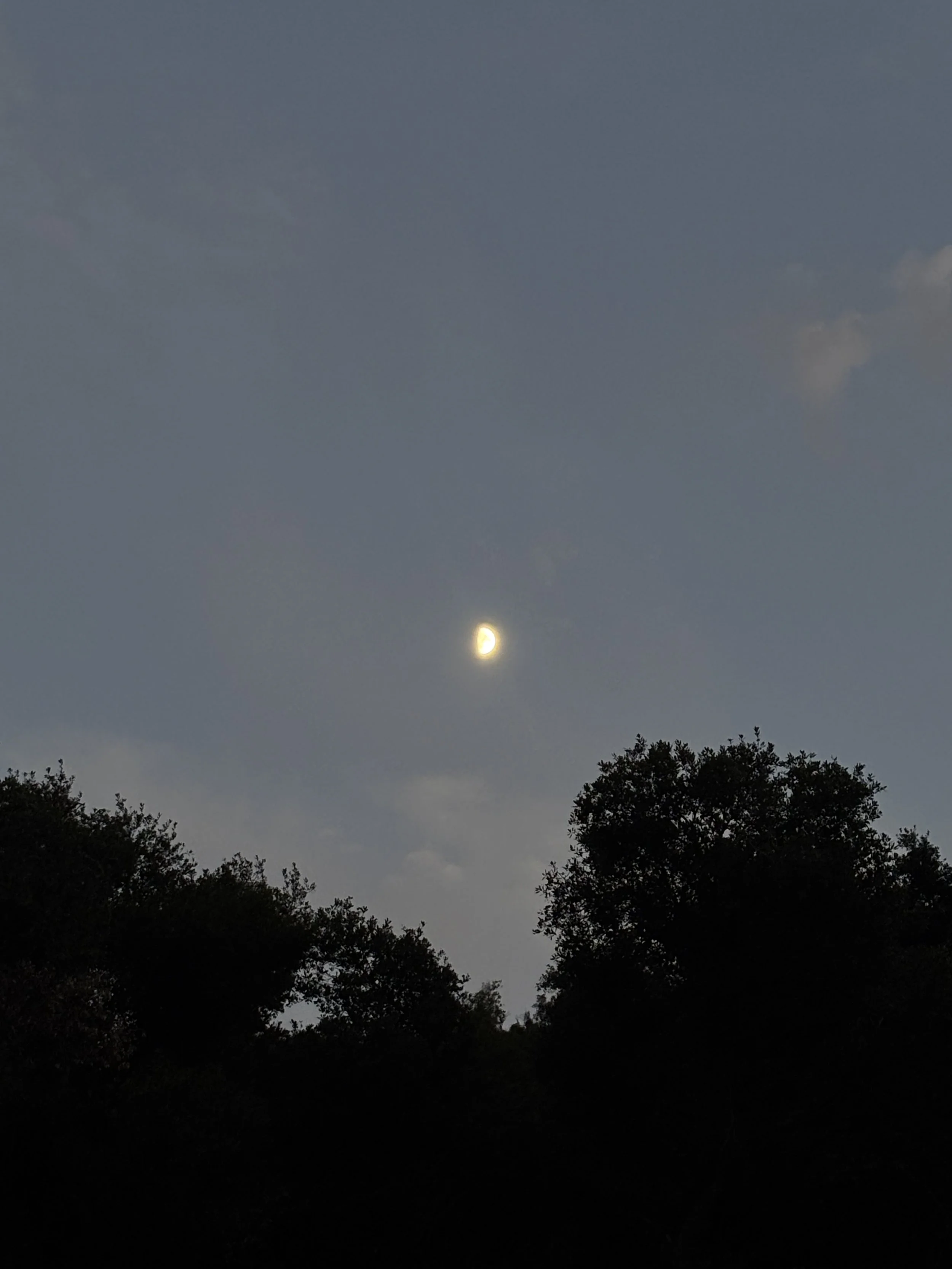 IMG_6224.jpeg