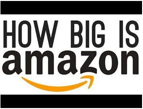 How big is Amazon really?
