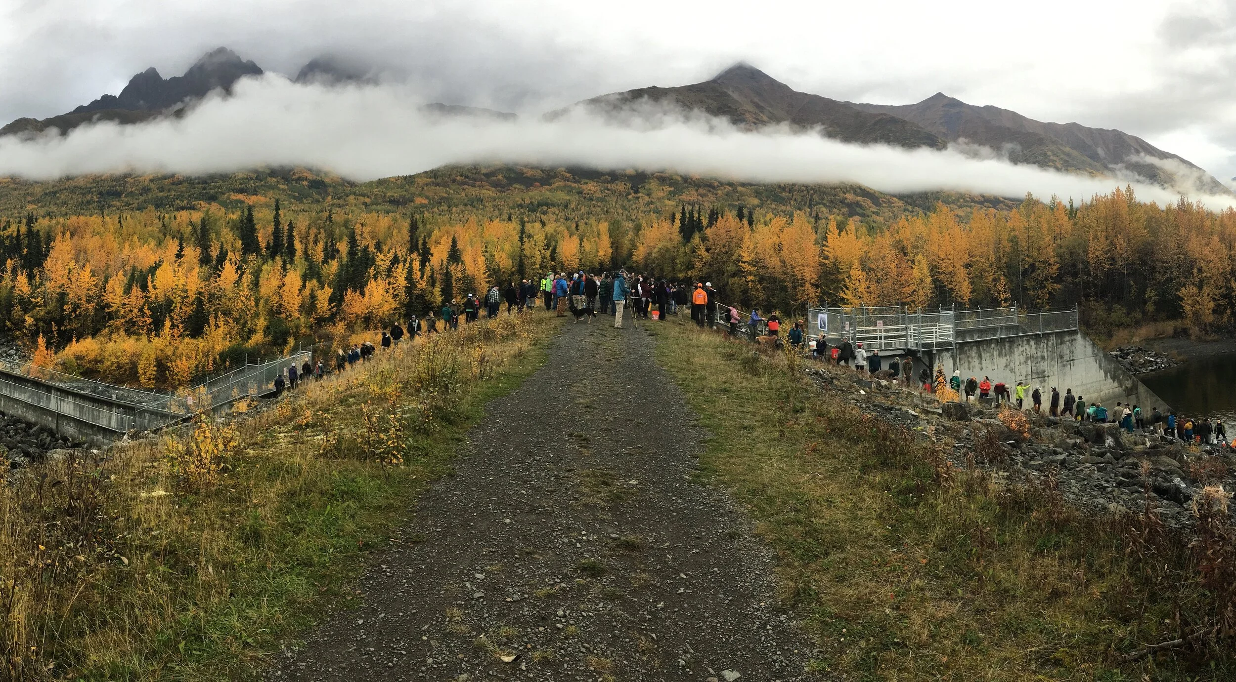 About Us — Restoring the Eklutna River