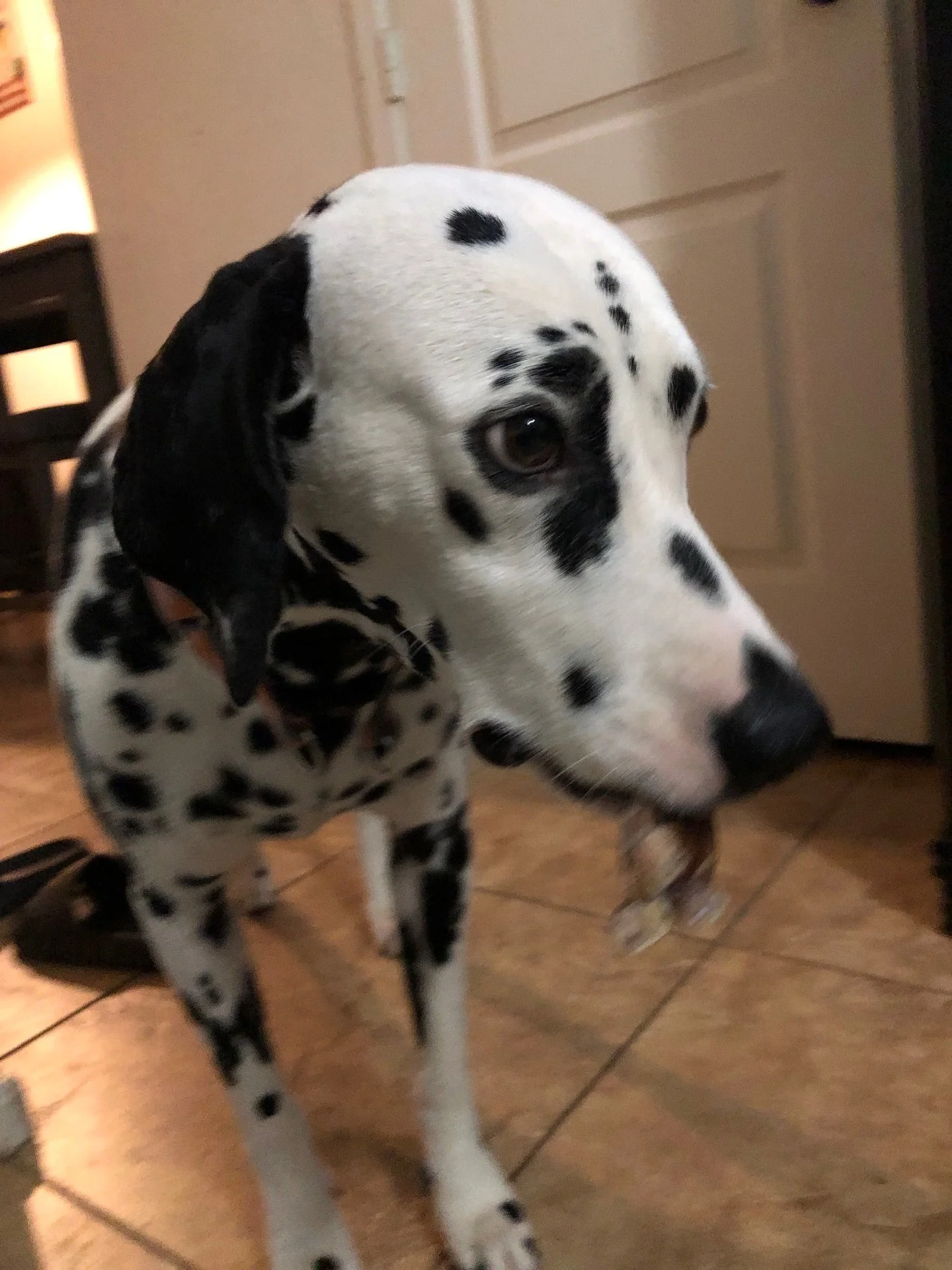 &bull; Here&rsquo;s some tattoos, big, small,color, black and grey. A little bit of life in between them. 😬😈

&bull;Thank you all who trust me with their tattoos appreciate you guys bringing me your ideas
🤠😈🤖 

&bull; For all of OCTOBER flash sh