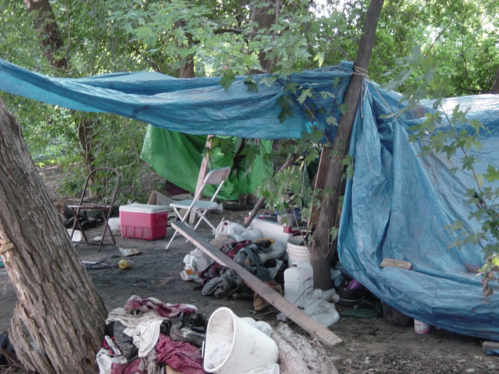 Tell the story of this photo in one sentence.