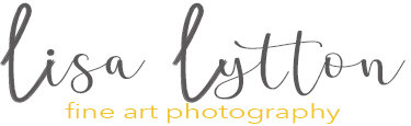 Lisa Lytton Photography