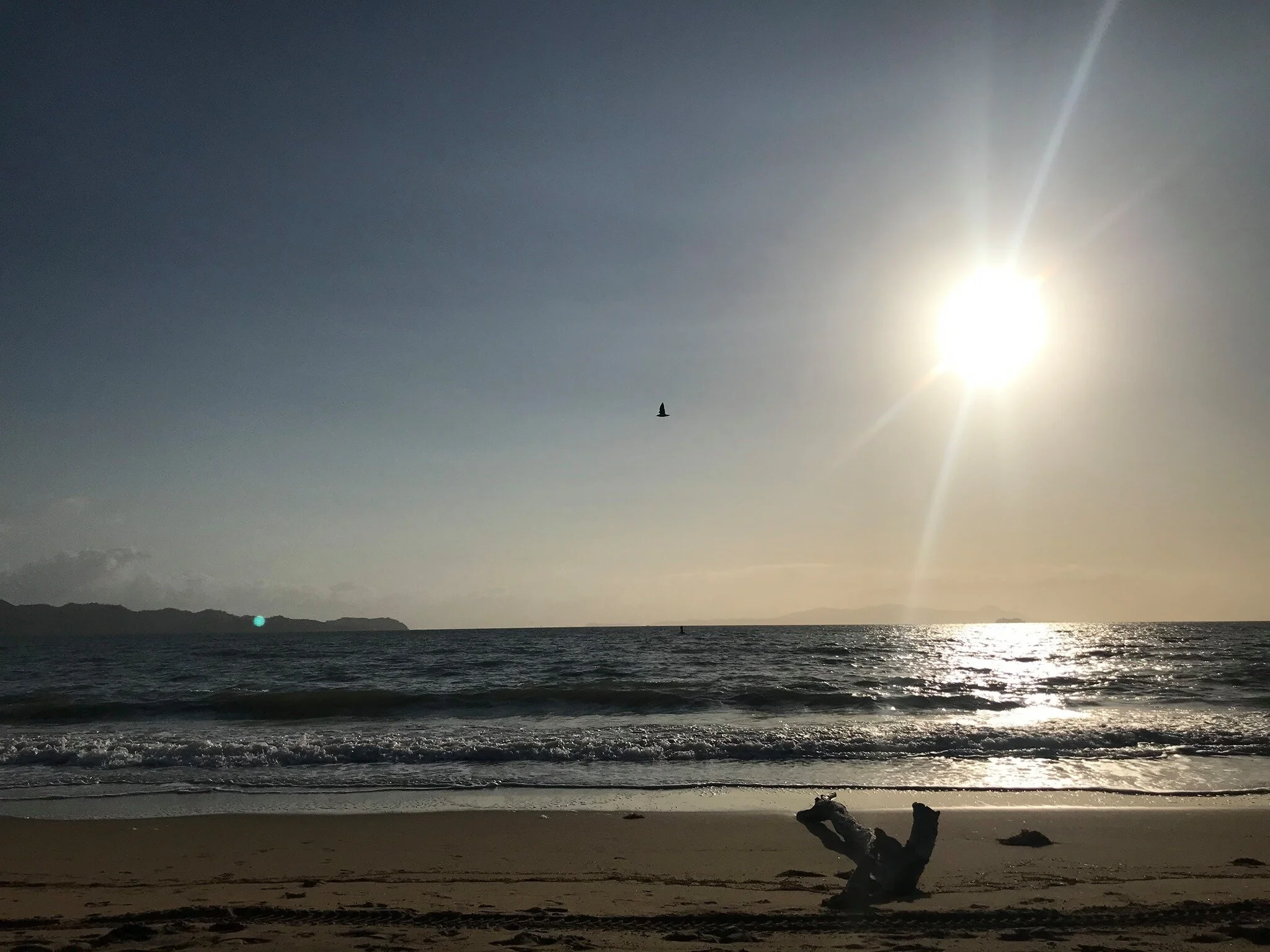 Townsville beach.jpg