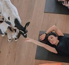 Goat Yoga.jpg