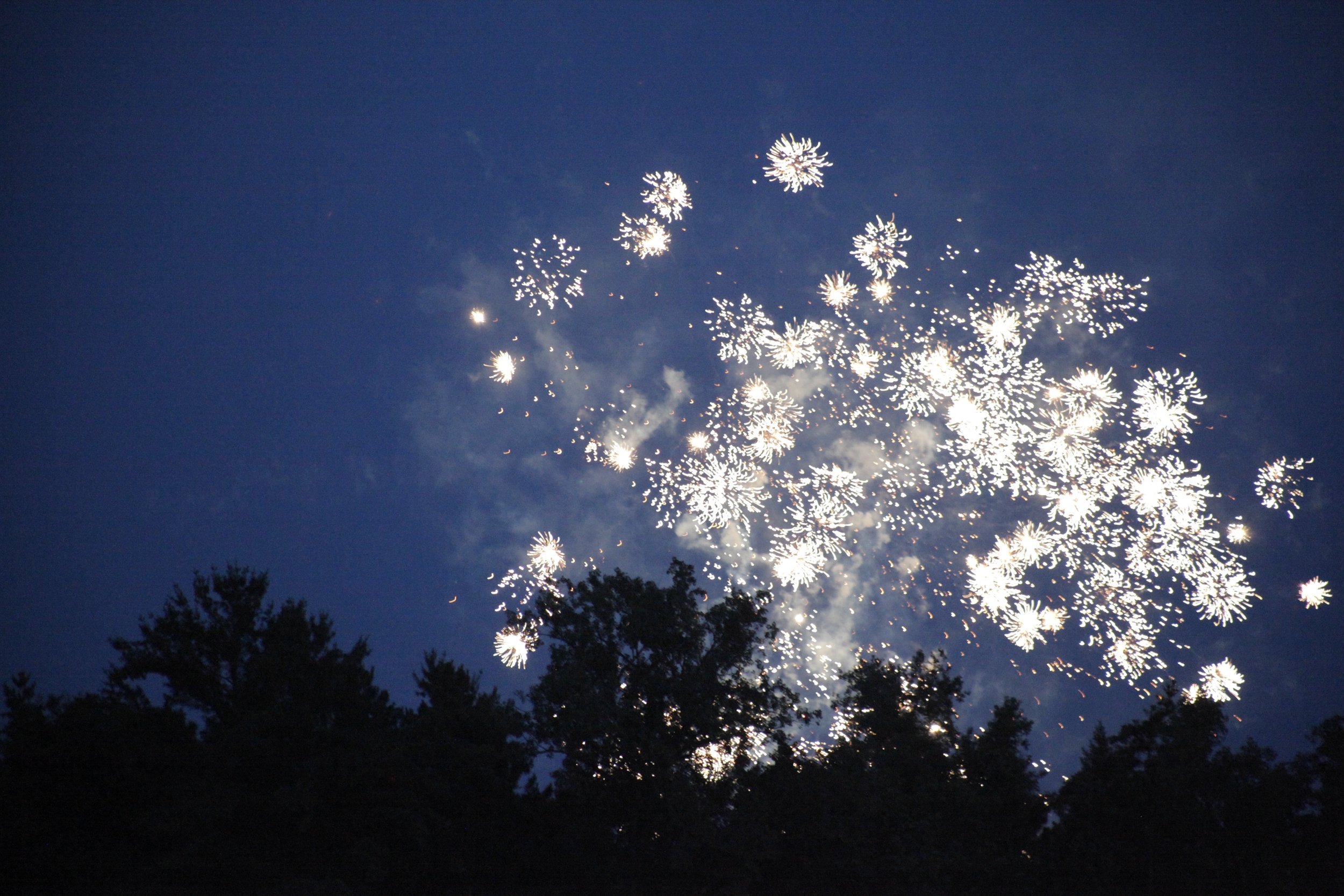 Fireworks-0001.jpg