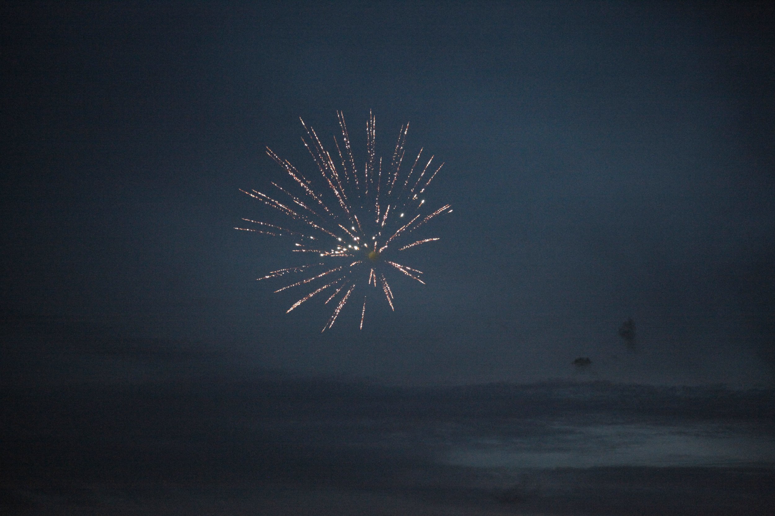 Fireworks-0003.jpg