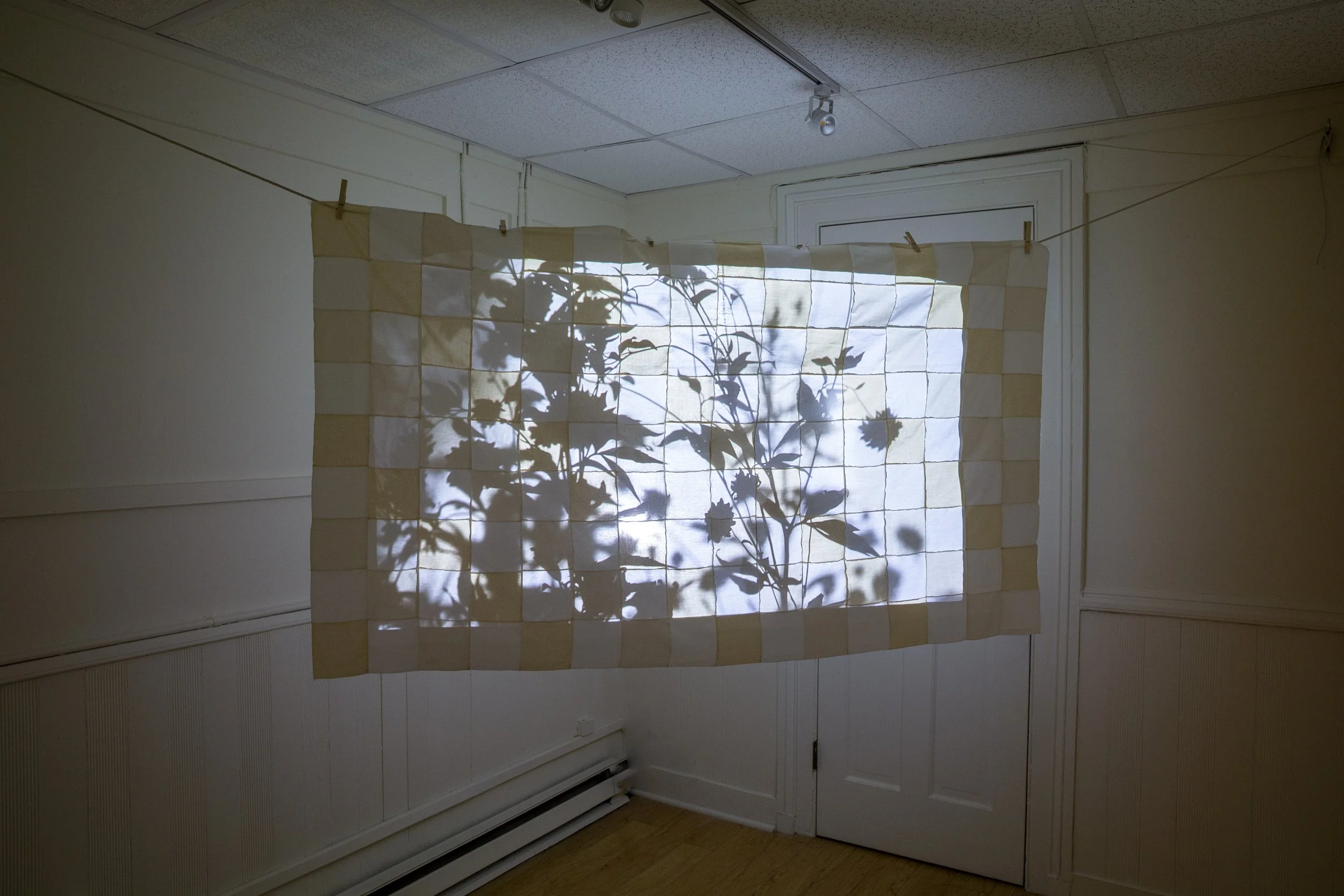 Garden Cinema (still), 2025