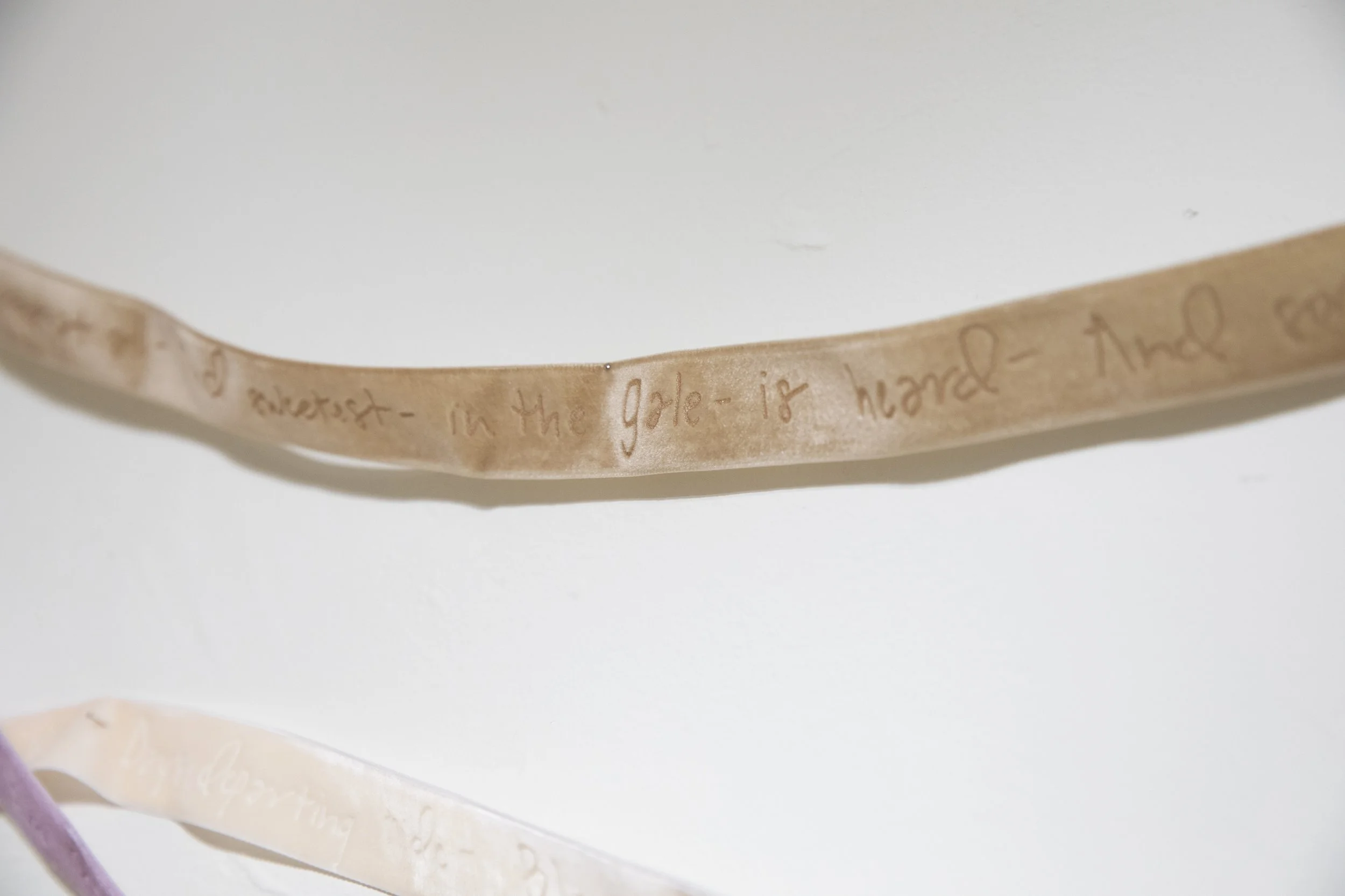 Poetry Ribbons (all poems by Emily Dickinson) detail, 2025