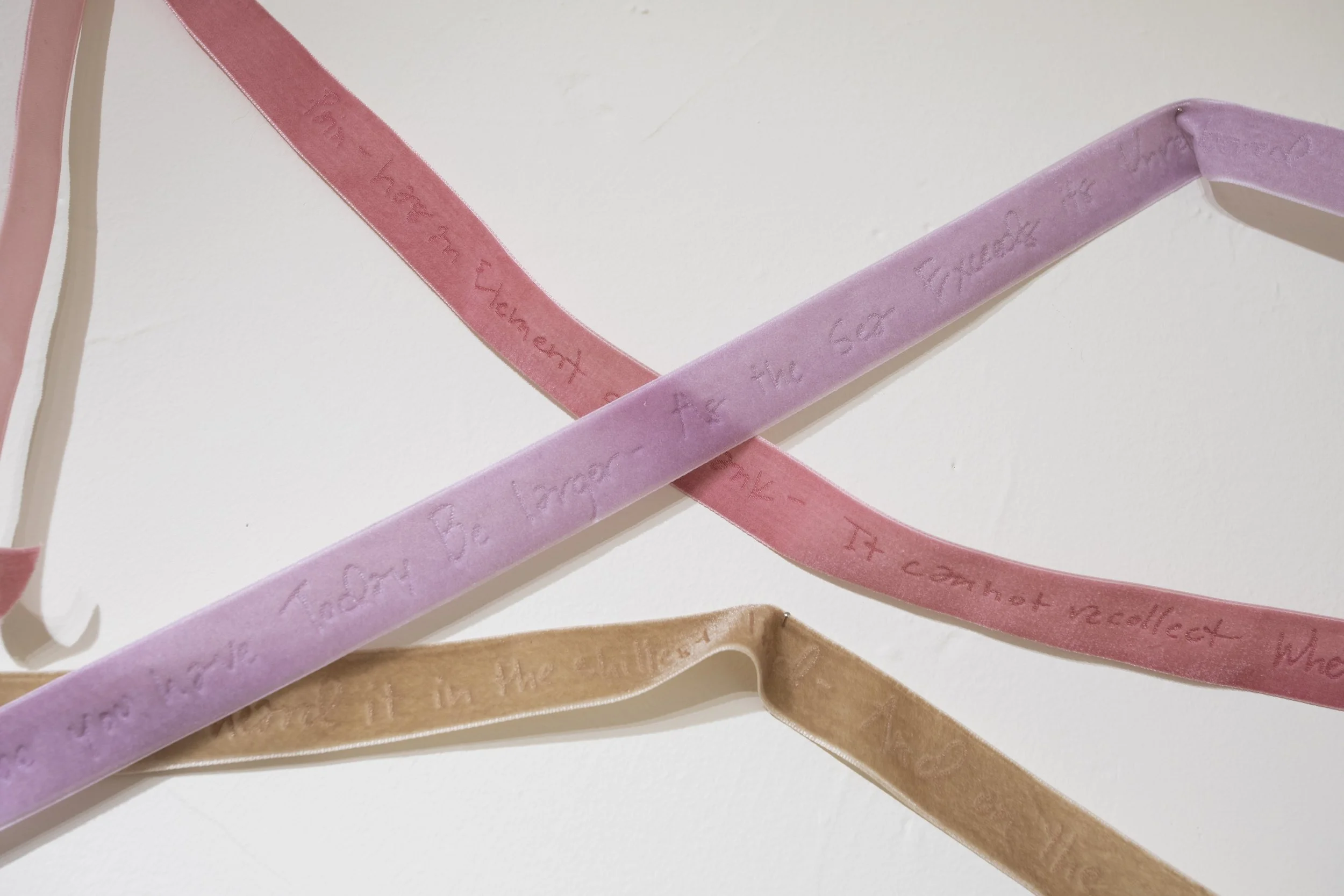 Poetry Ribbons (all poems by Emily Dickinson) detail, 2025