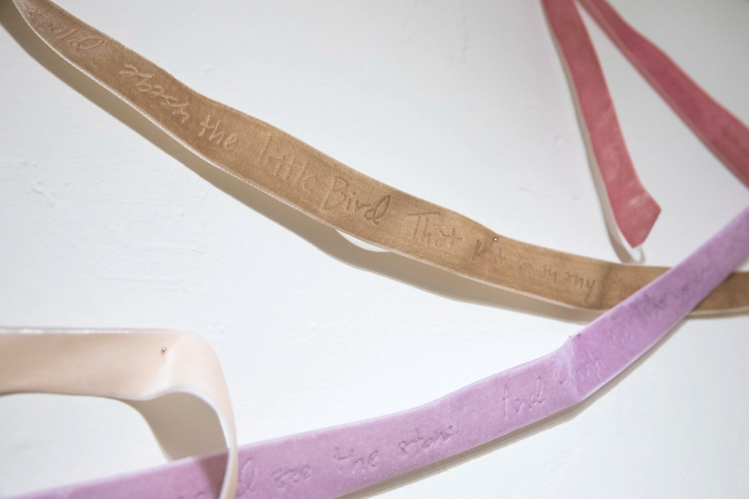 Poetry Ribbons (all poems by Emily Dickinson) detail, 2025