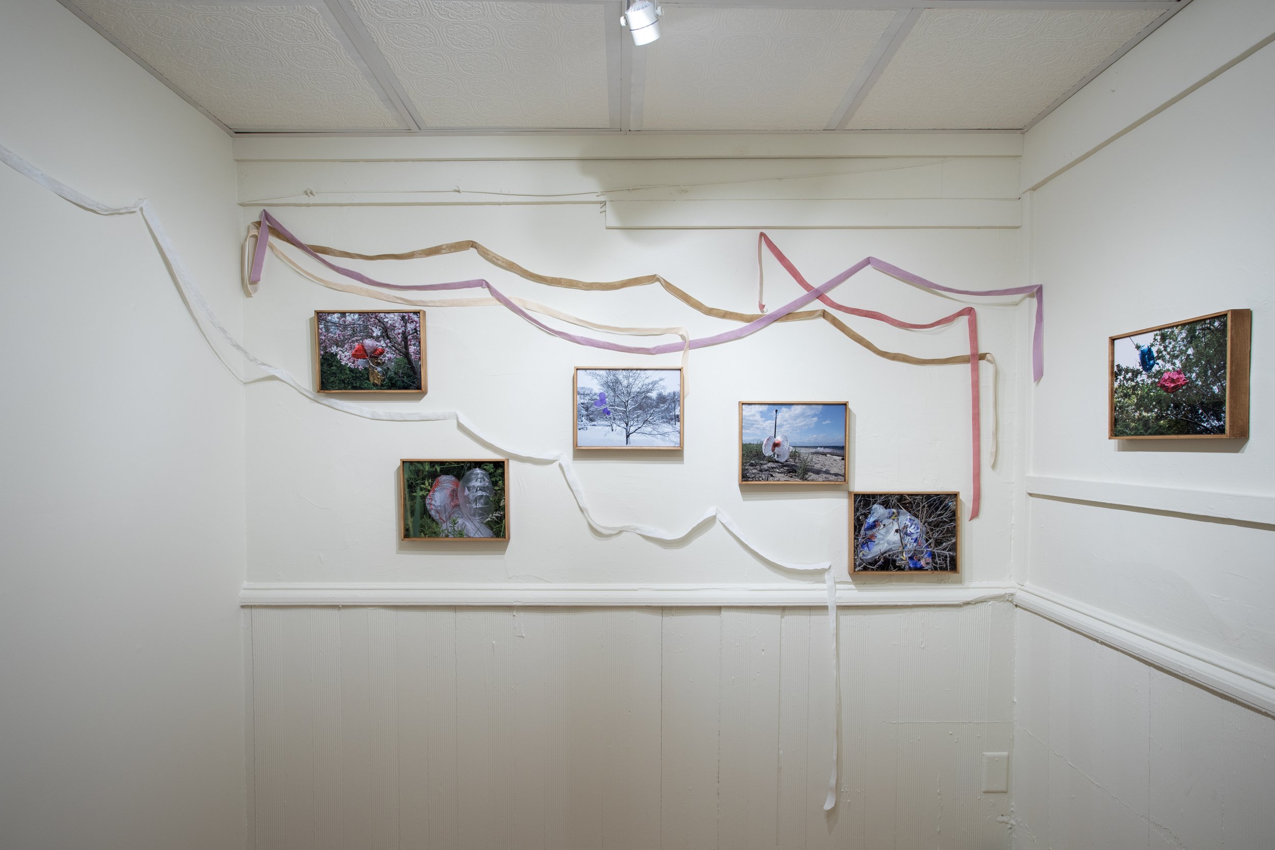 Poetry Ribbons (all poems by Emily Dickinson) in situ, 2025