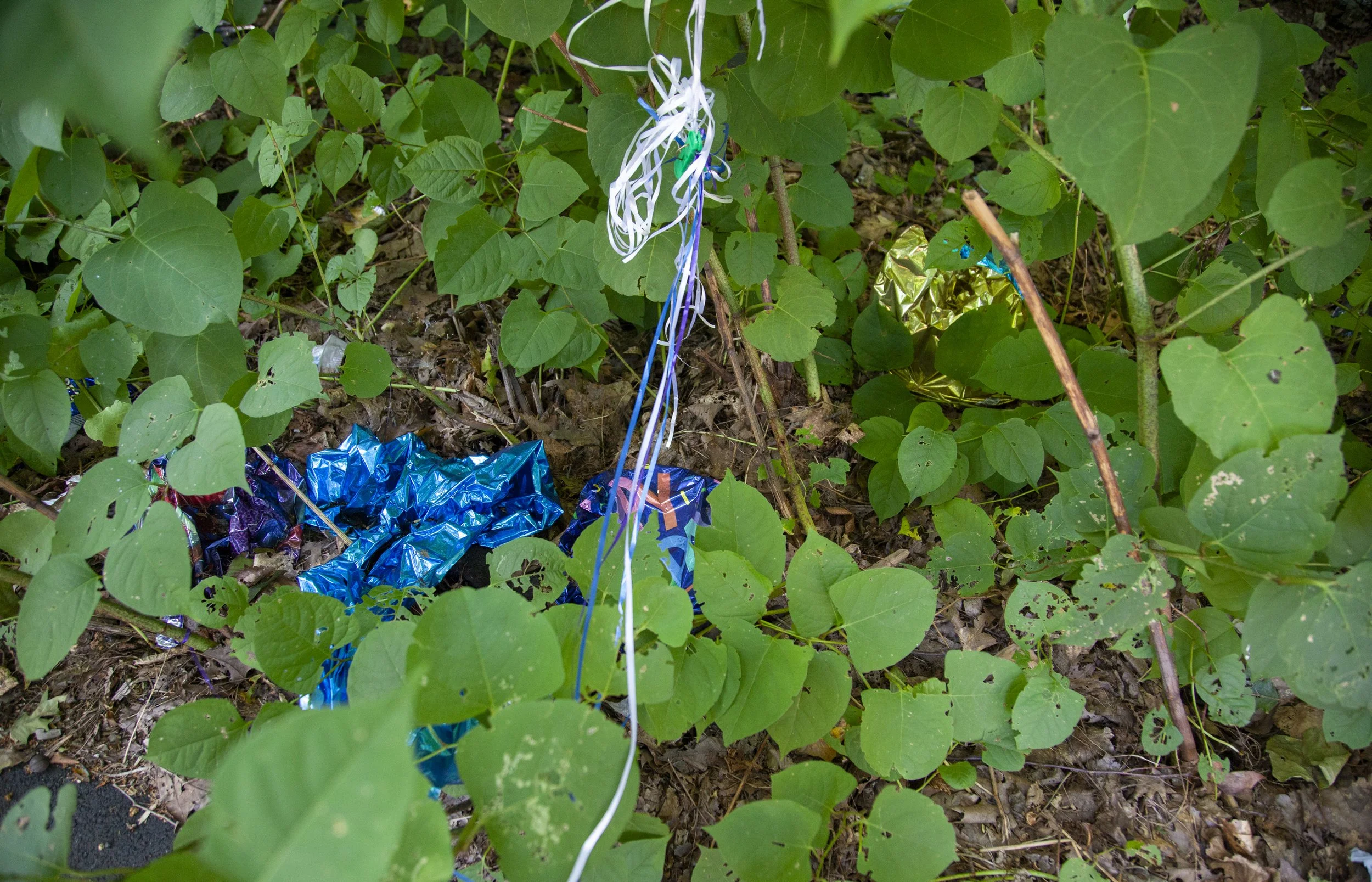 Stuck- Blue and Entangled
