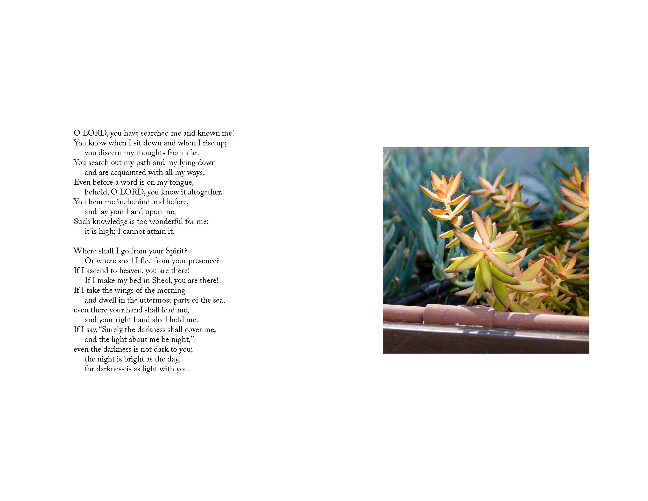 seasons_Page_08.jpg