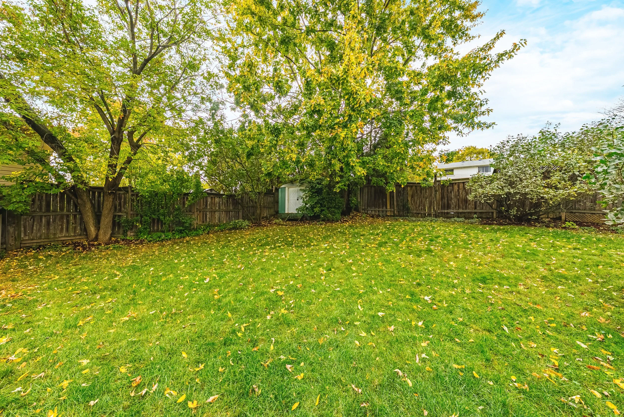 37 - 429 Limeridge Rd W, Hamilton.jpg