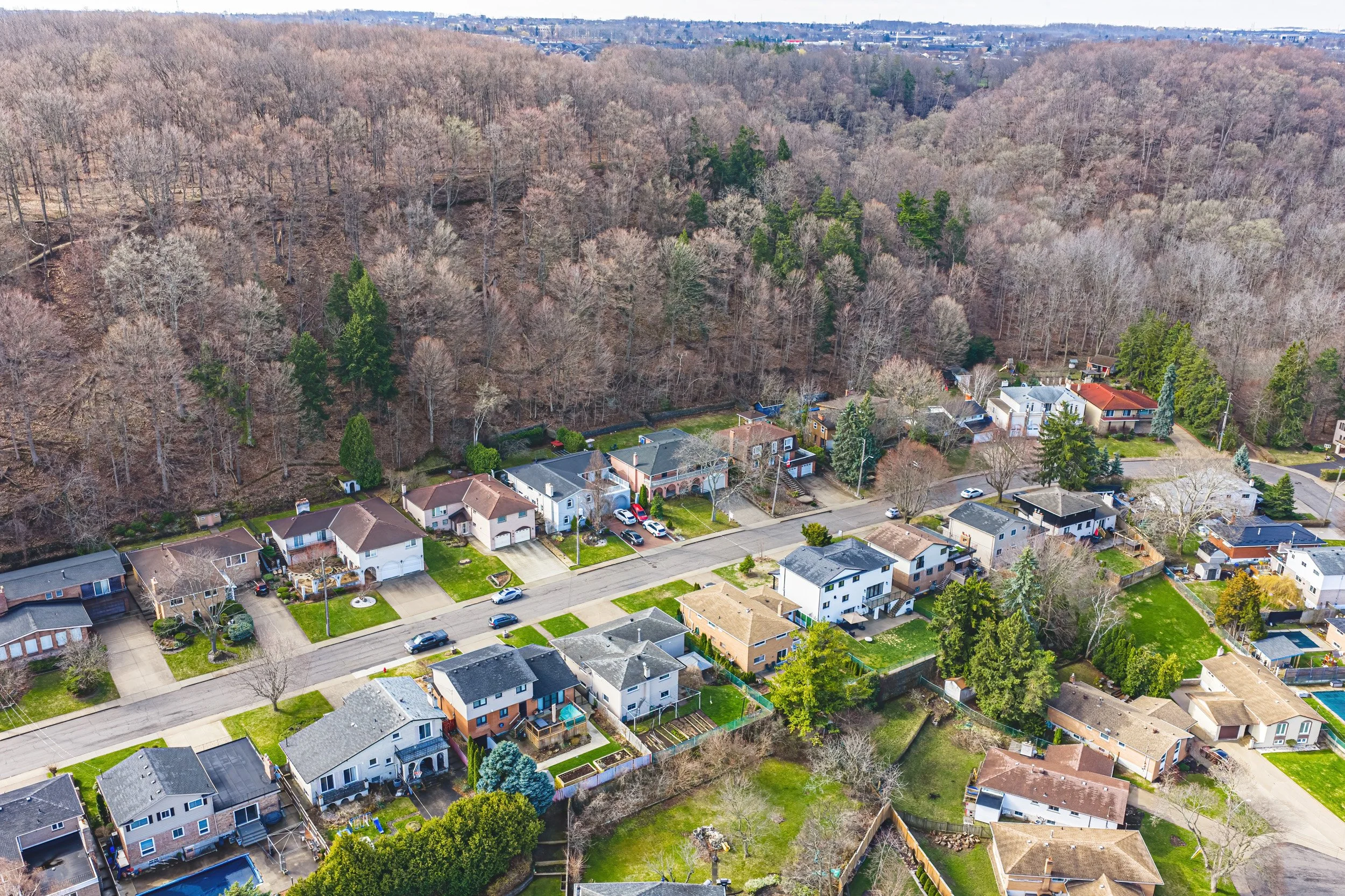 50 - 24 Hildegard Dr, Hamilton.jpg