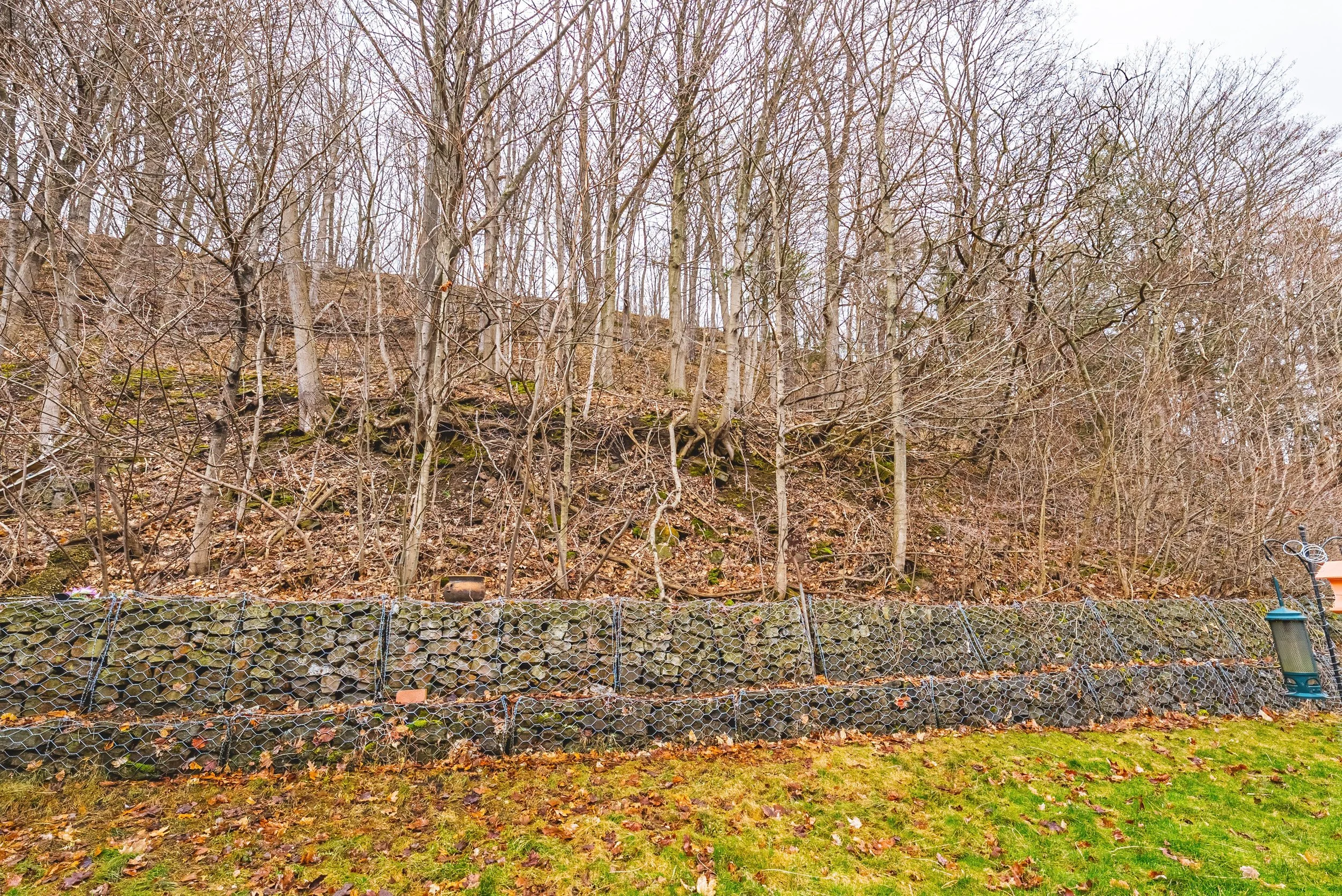 45 - 24 Hildegard Dr, Hamilton.jpg