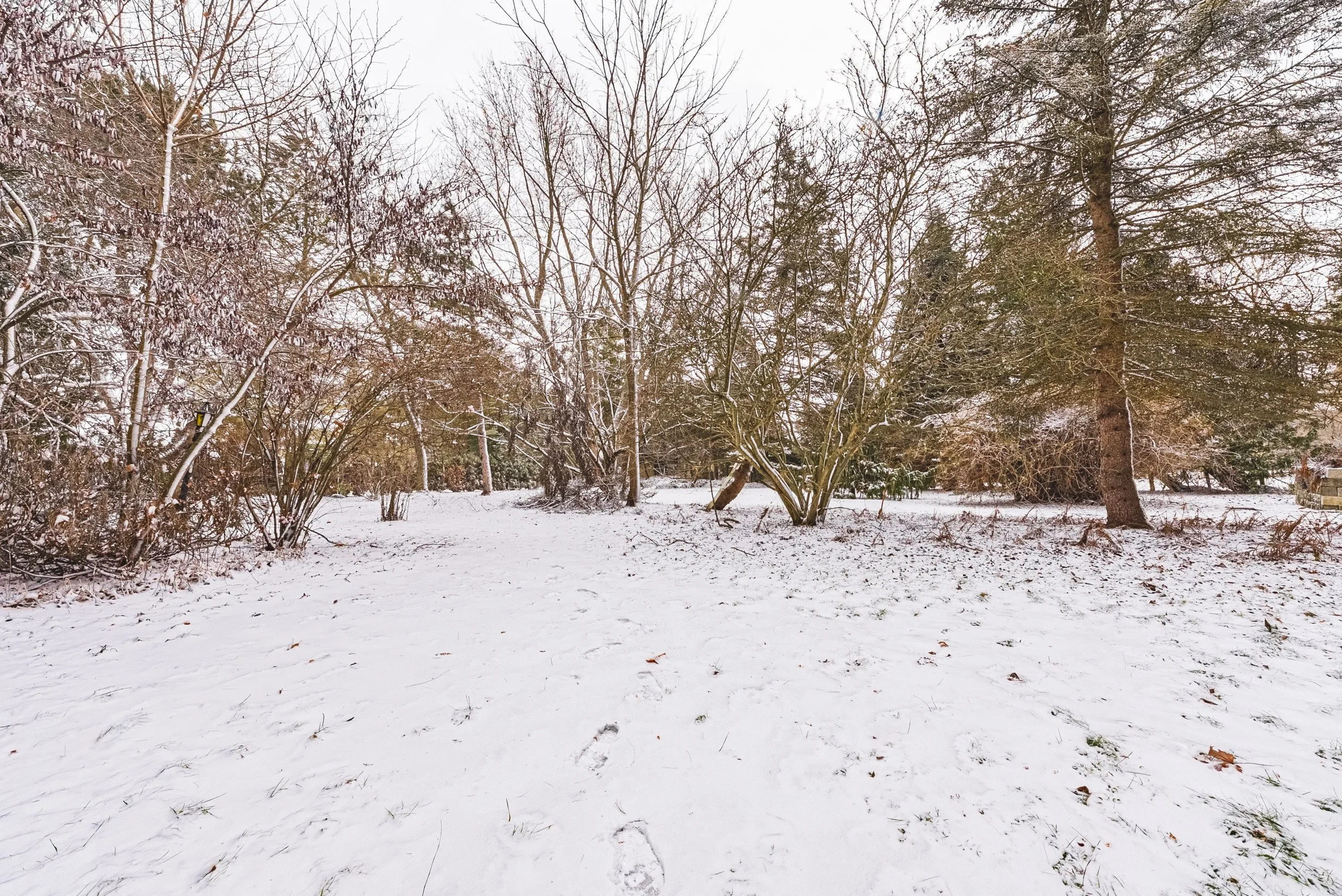 49 - 948 Concession 6 Townsend, Waterford.jpg