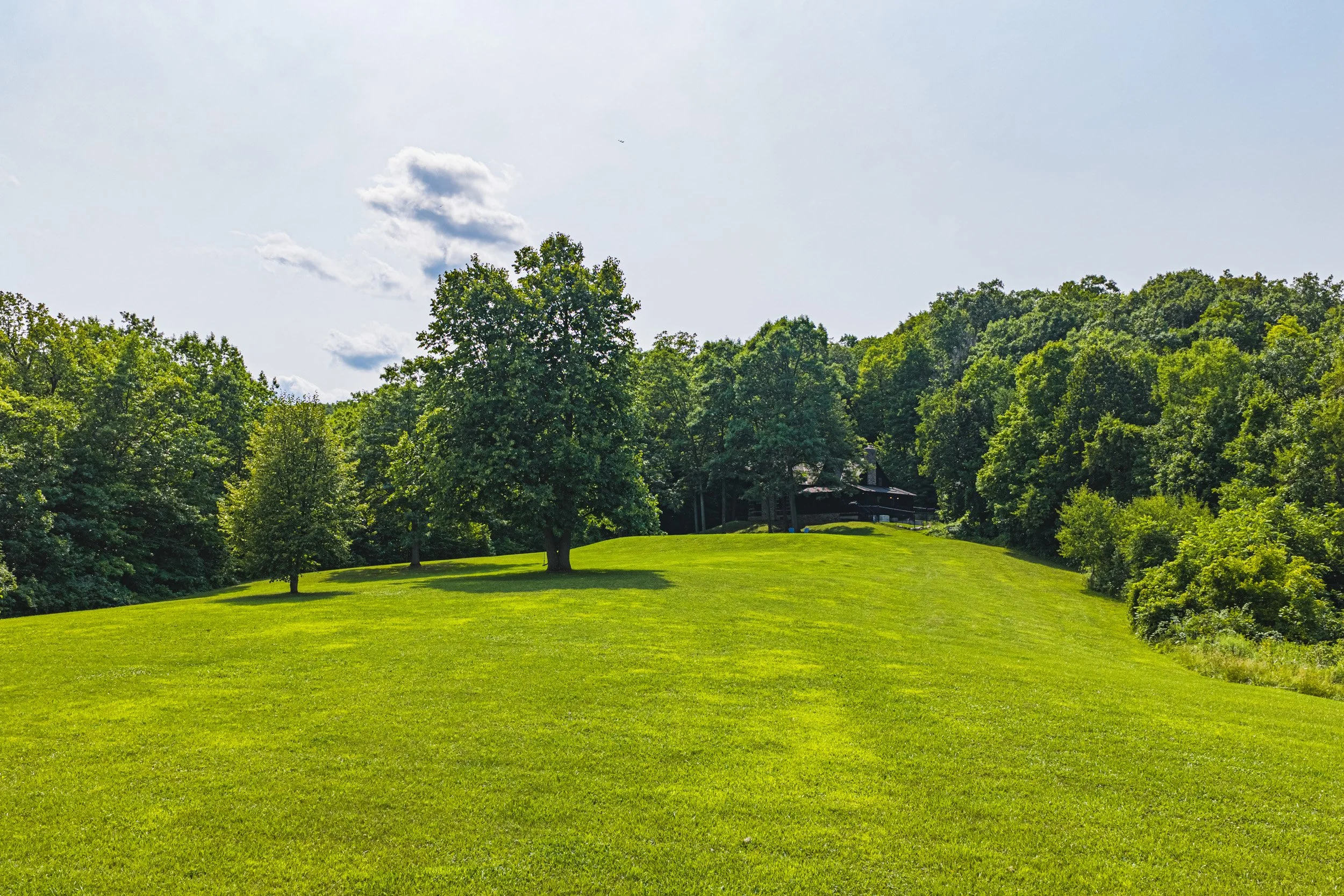 86 - 7399 Bell School Line, Milton.jpg
