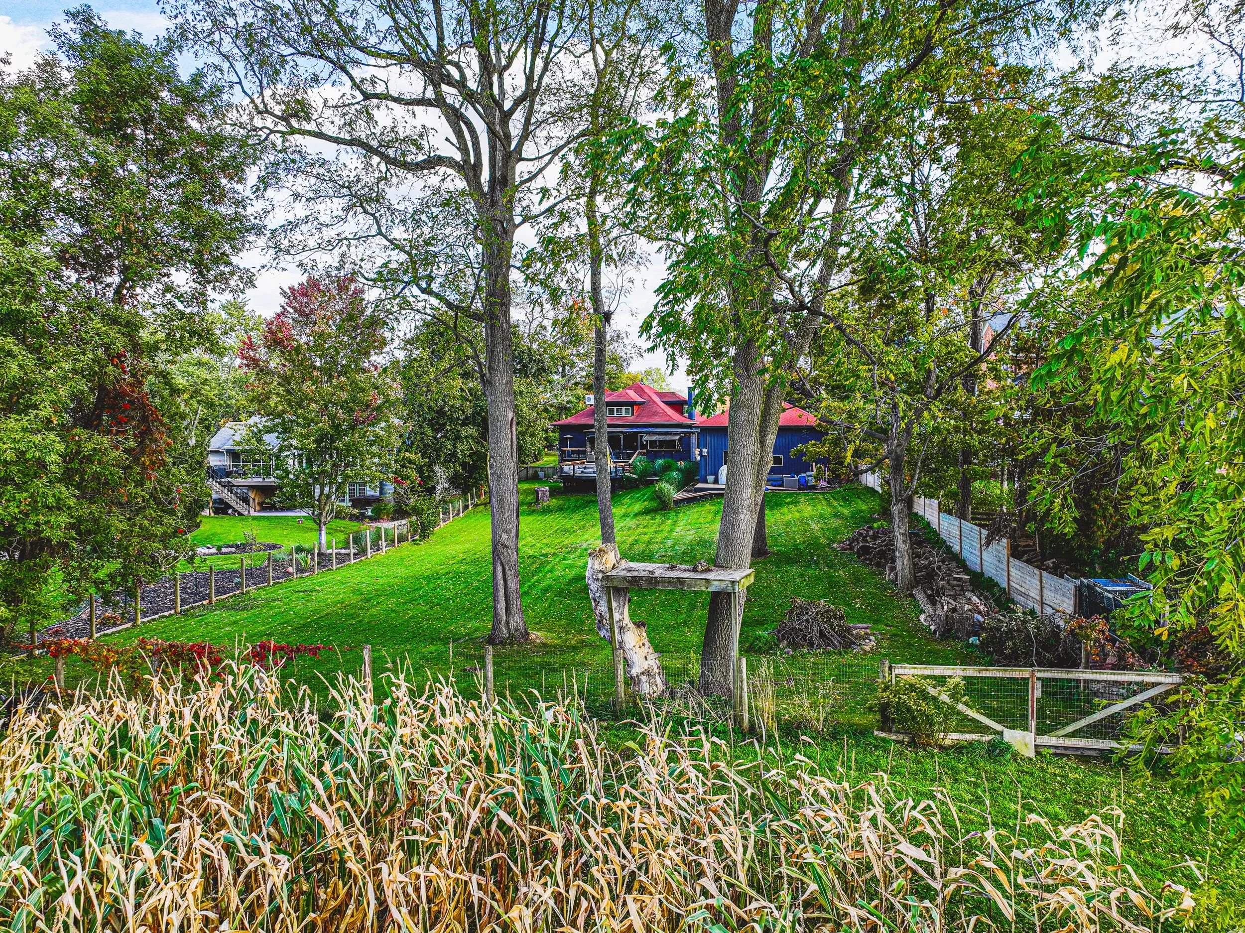 7-Drone - 595 Mt Pleasant Rd Brantford.jpg