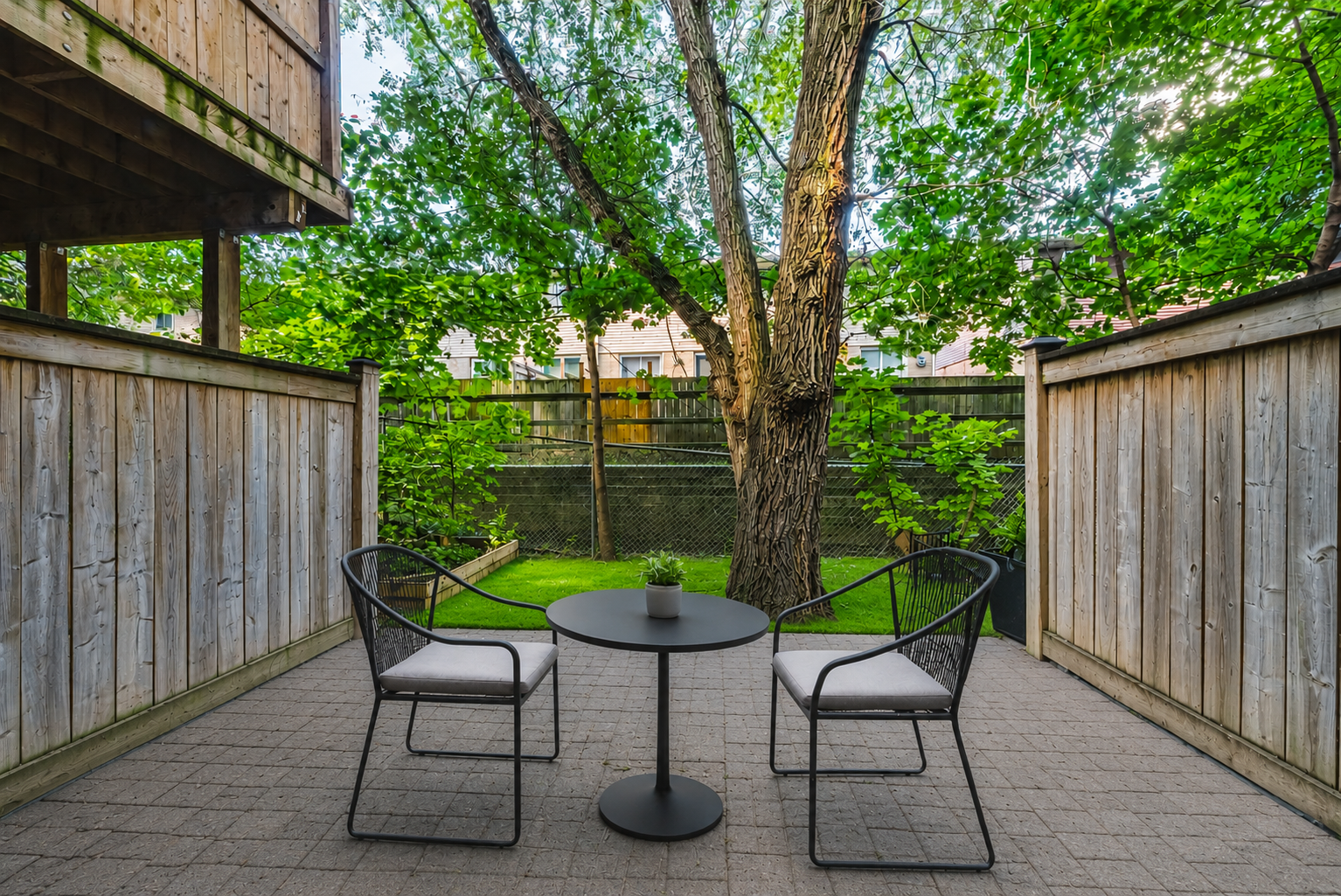 Backyard.png