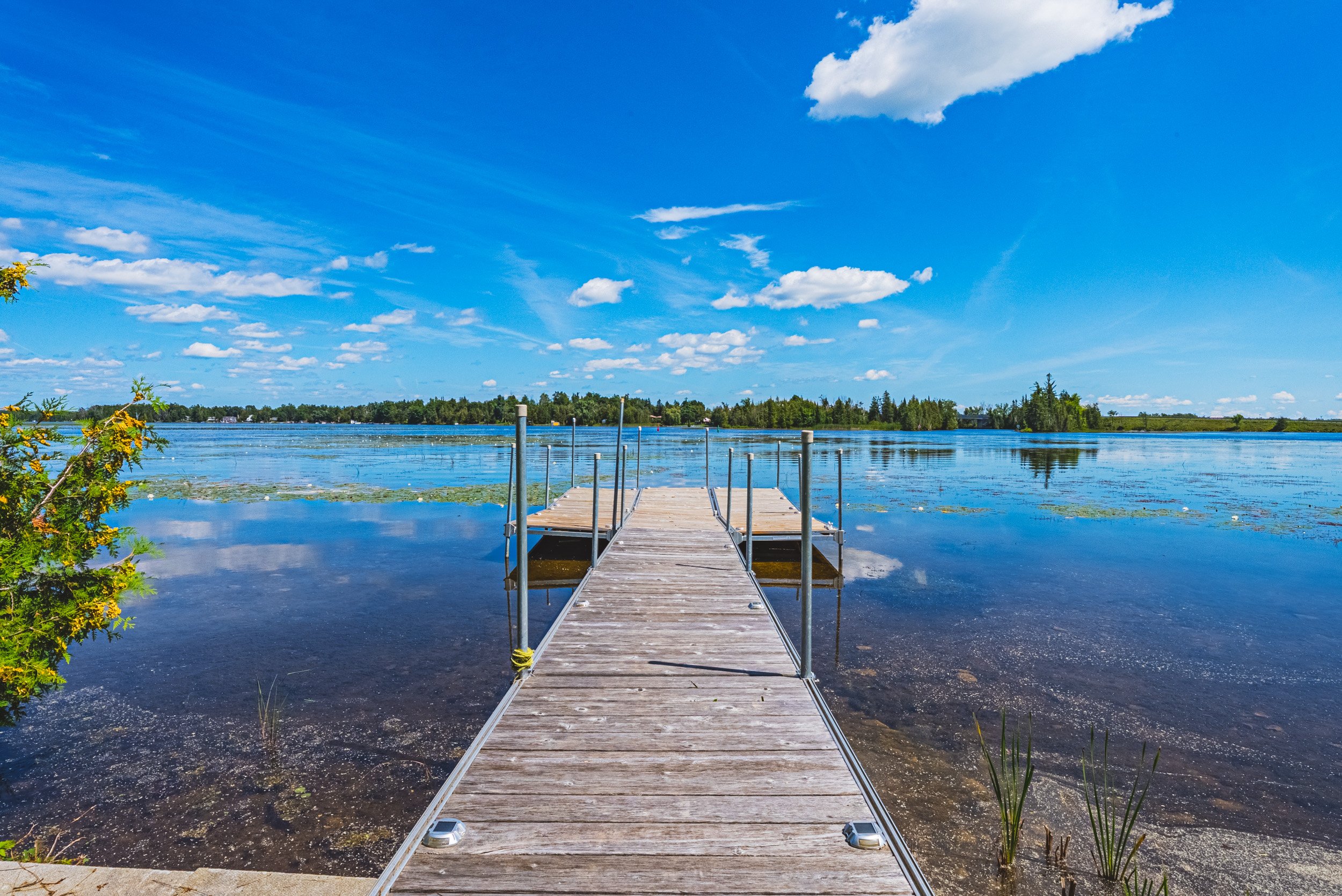 51 - 8 Ewen St, Kawartha Lakes.jpg