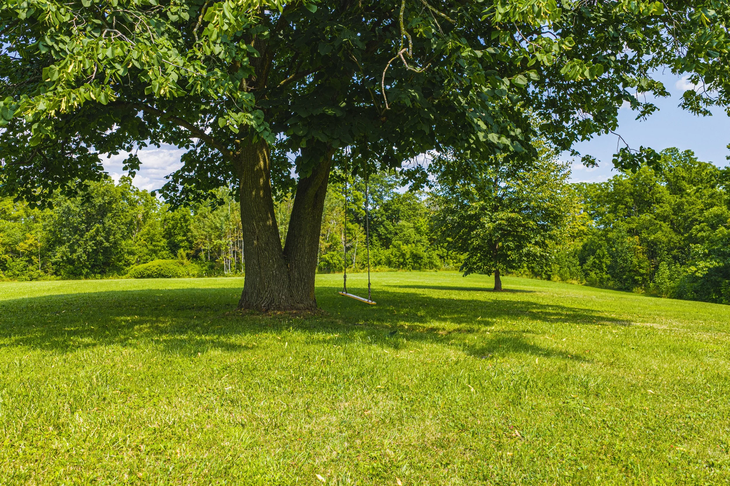84 - 7399 Bell School Line, Milton.jpg