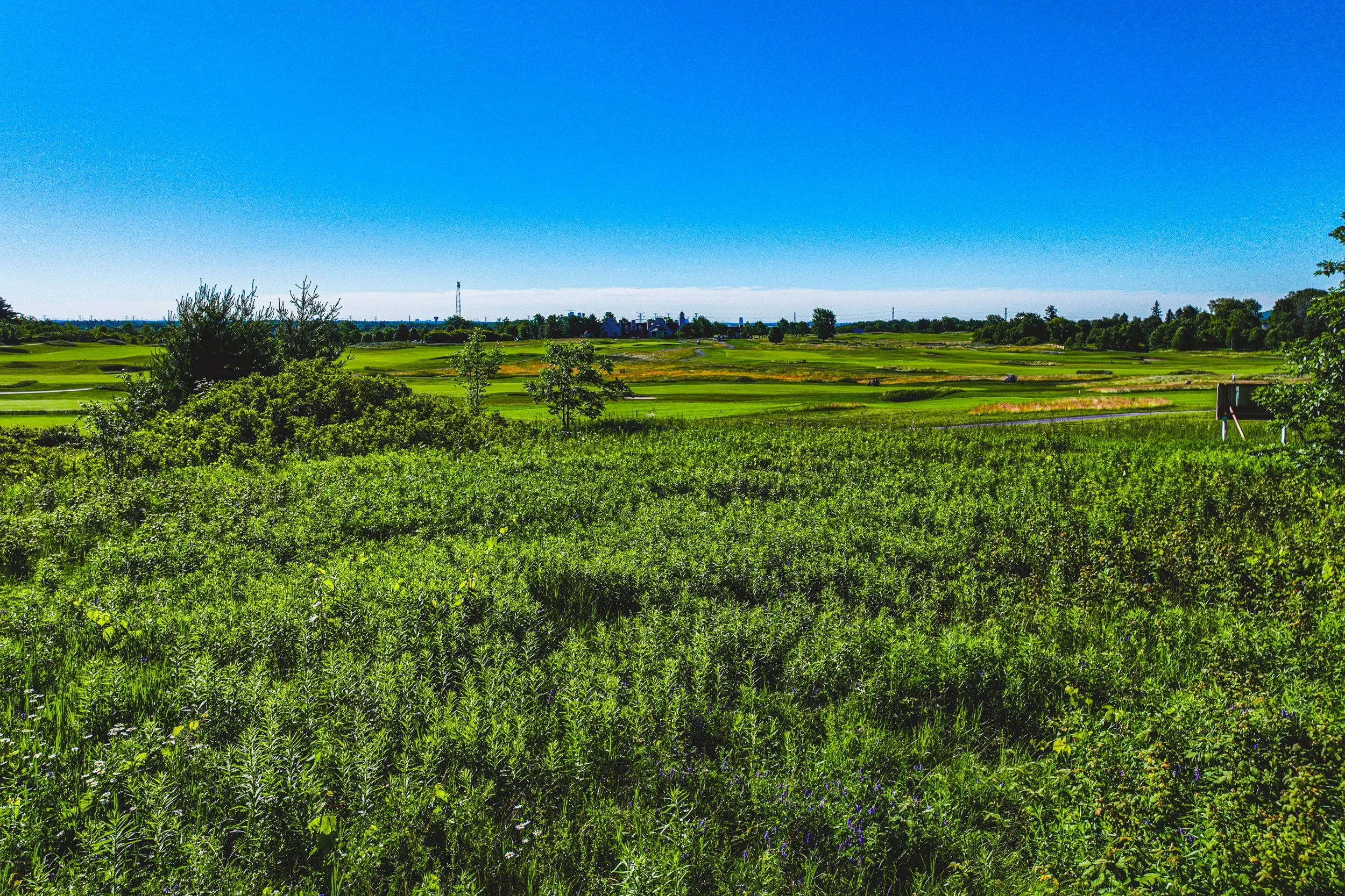 33-8220 10th Sideroad, Milton.jpg