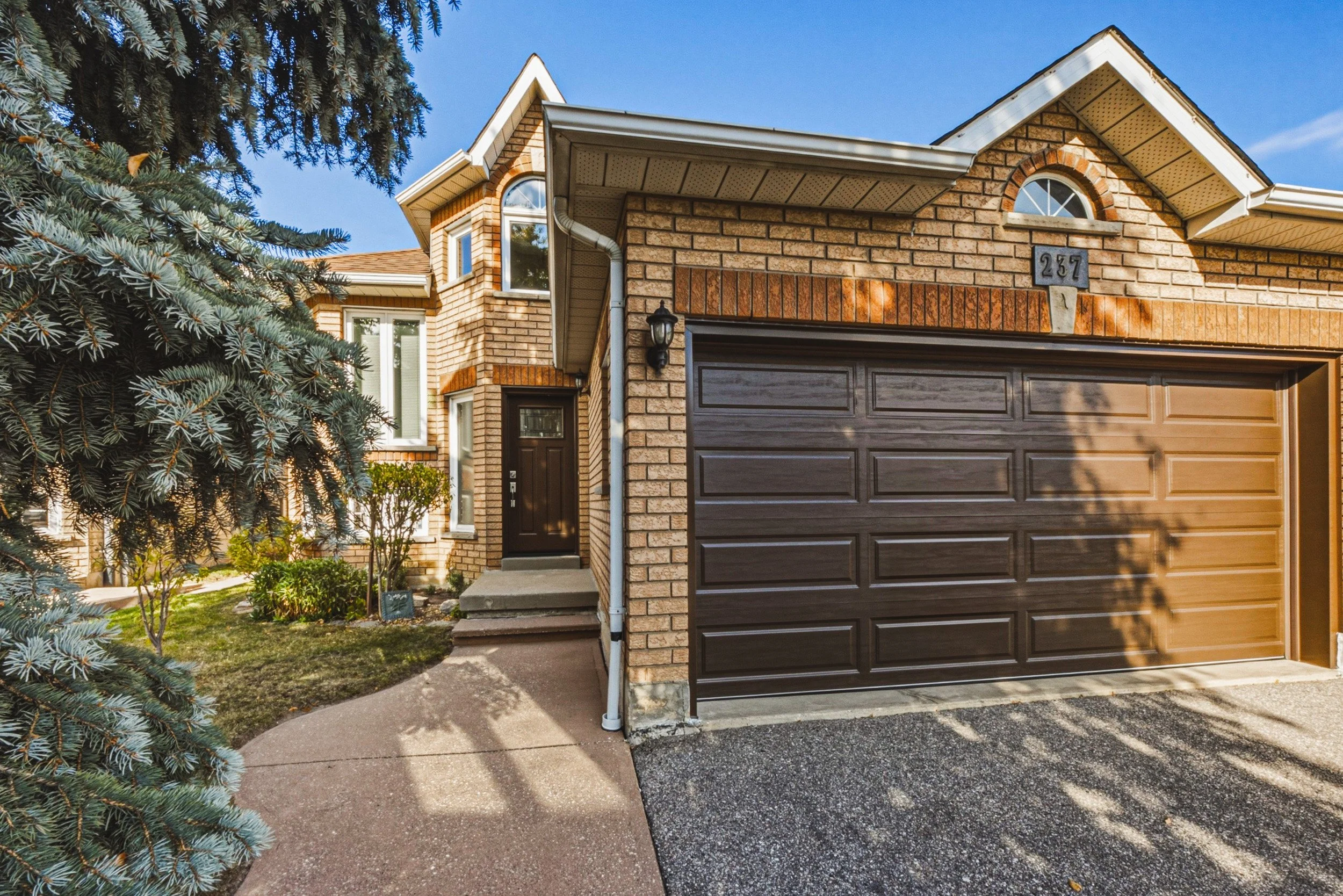 4 - 237 Mountainberry Rd, Brampton.jpg
