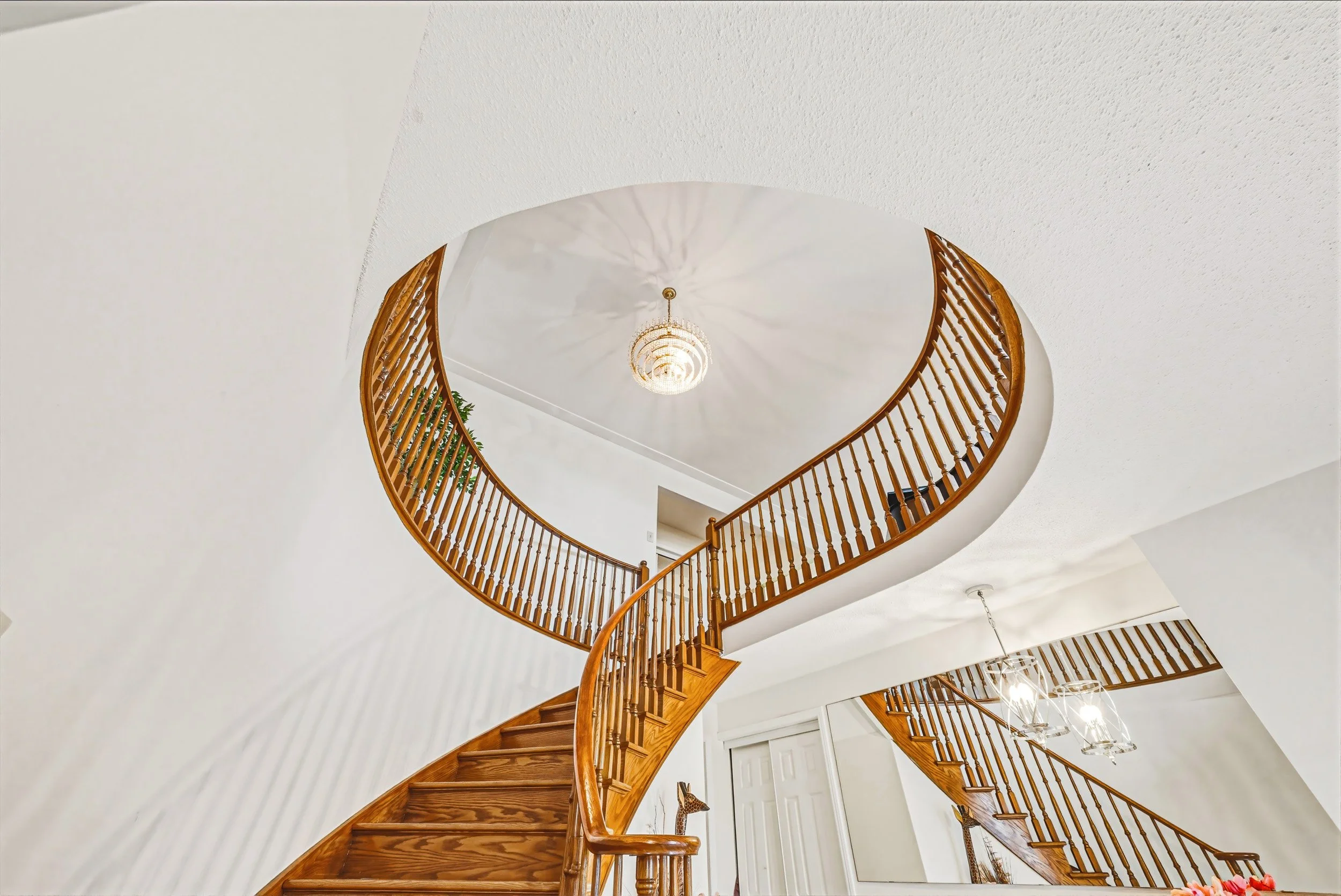 7 - 24 Hildegard Dr, Hamilton.jpg