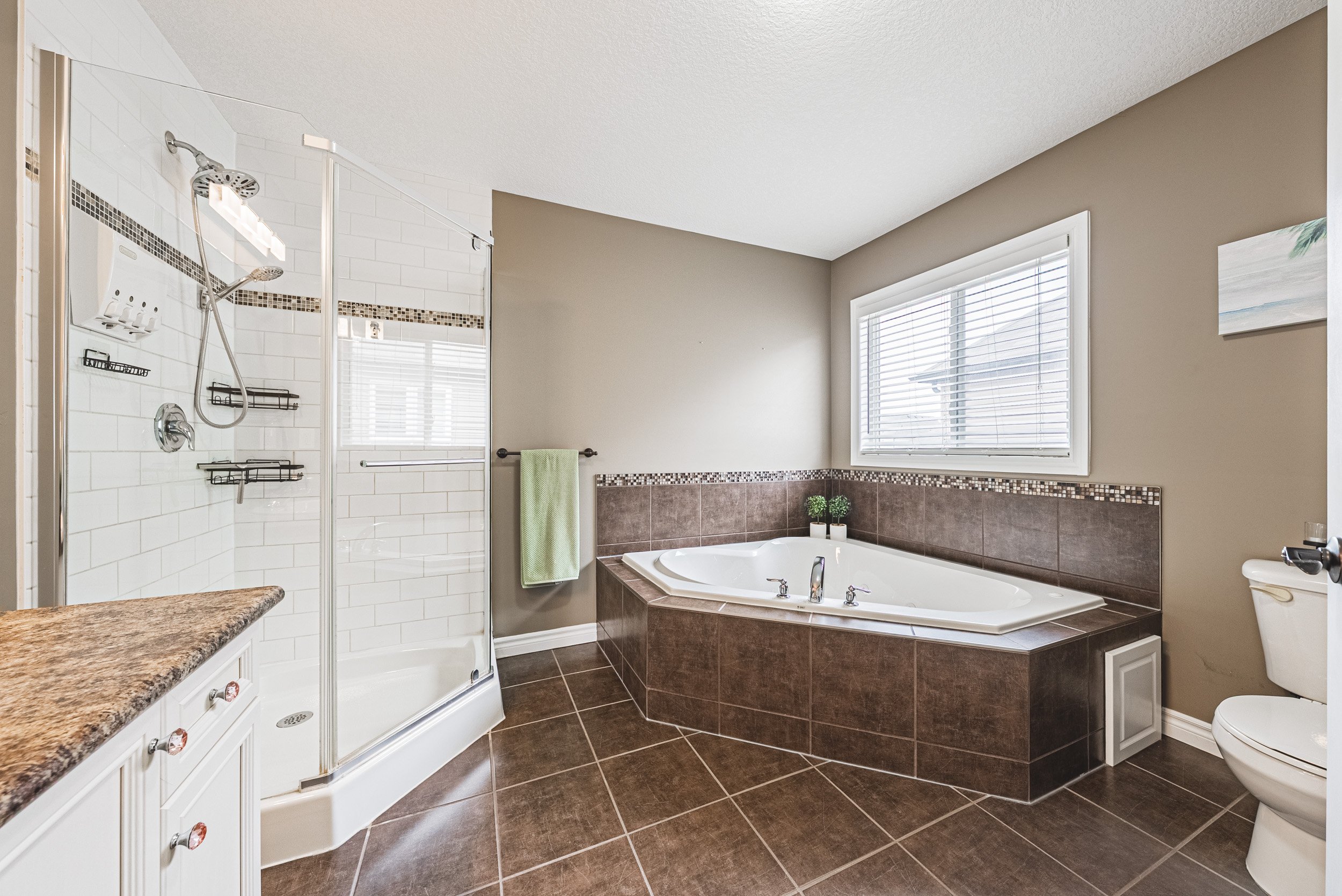 26 - 60 Cox St, Cambridge.jpg