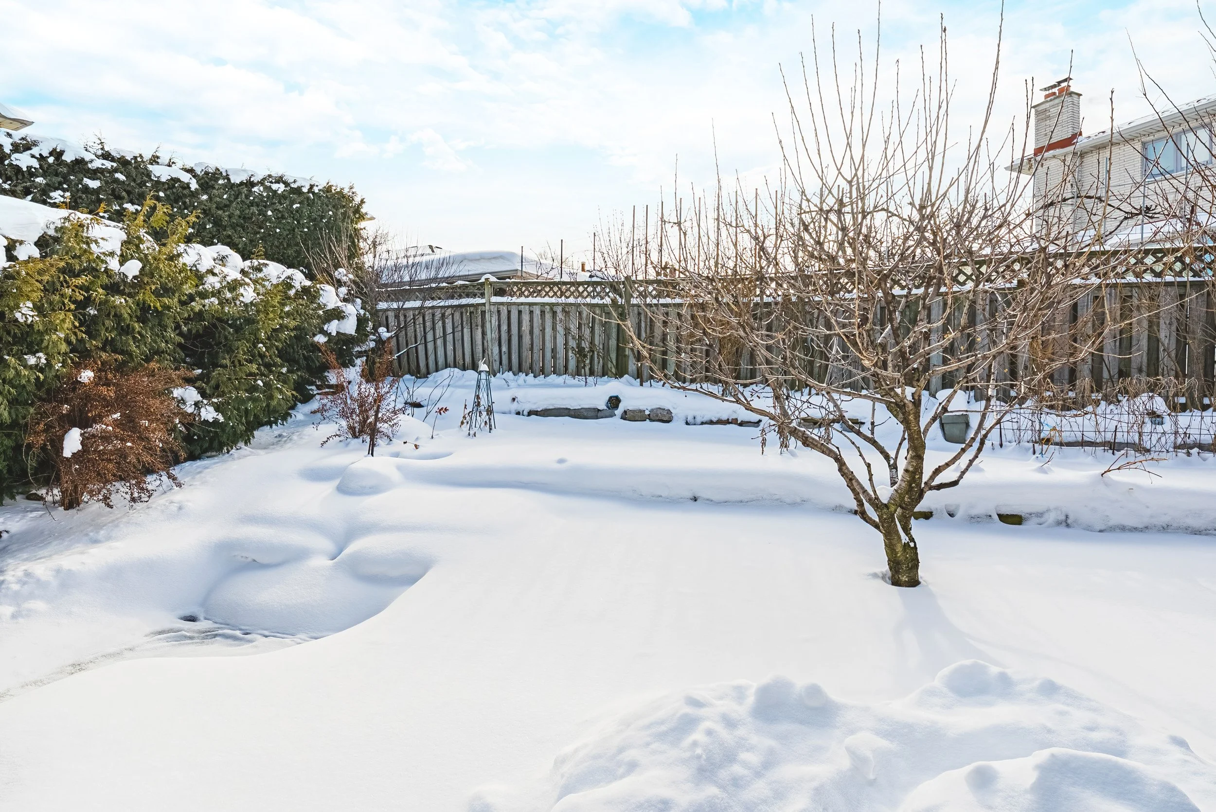 39 - 19 Glenhaven Ct, Hamilton.jpg