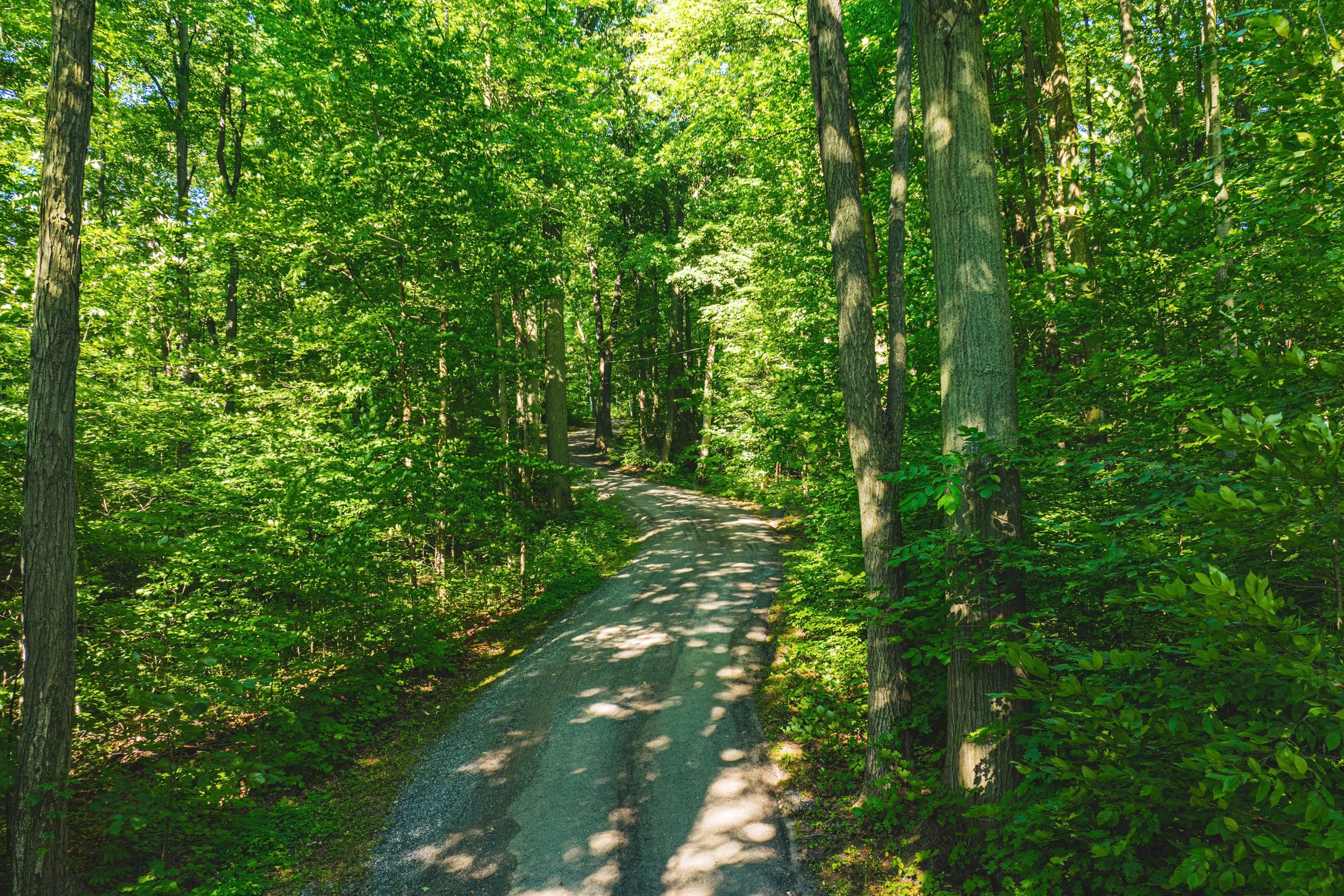 85 - 7399 Bell School Line, Milton.jpg