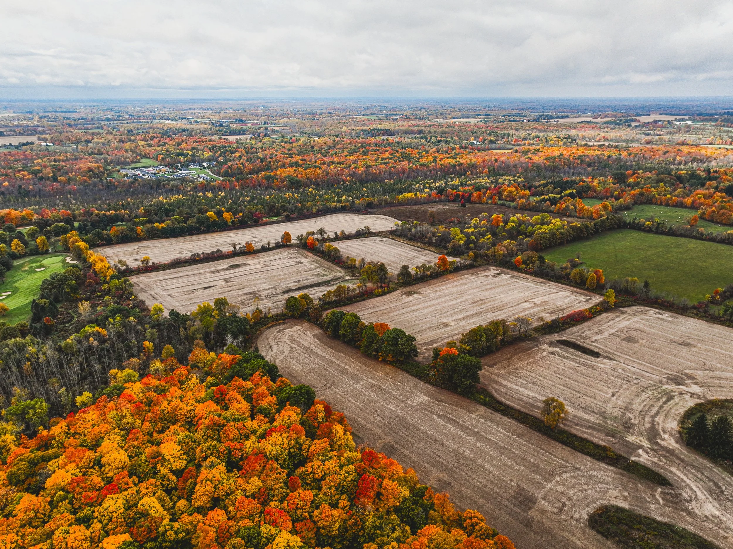 3-4300 Cedar Spring.jpg