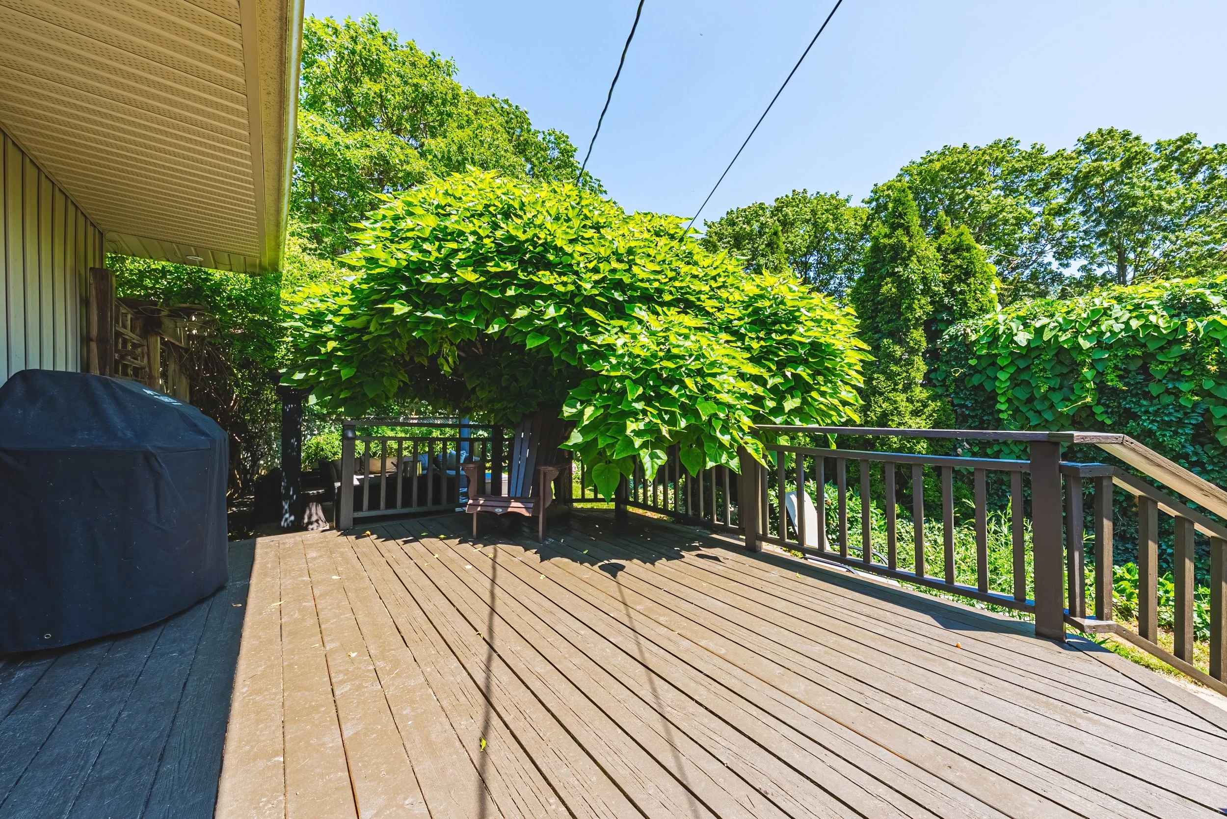 44 - 3384 Manfred Dr, Burlington.jpg