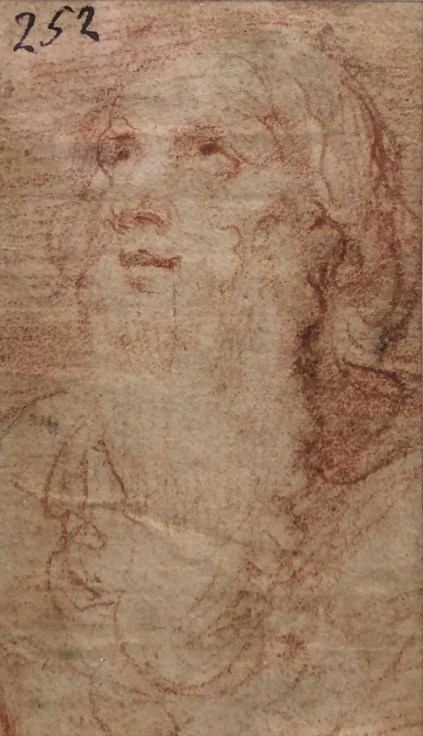 Sanguine chalk on laid paper old master drawing by Giuseppe Cesari - Study of a bearded man (Circa 1612)