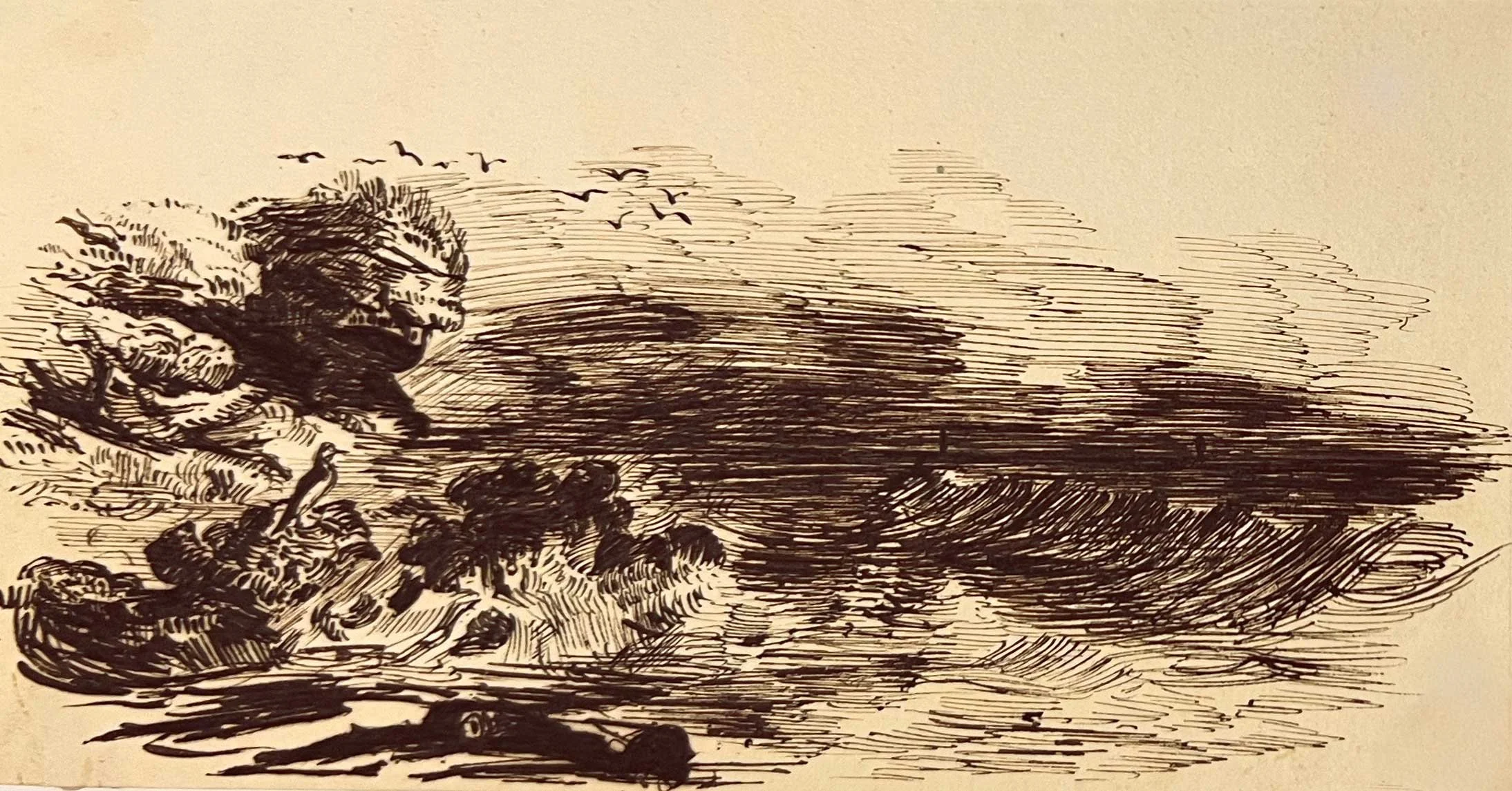 Seagull-on-the-Rocks.jpg
