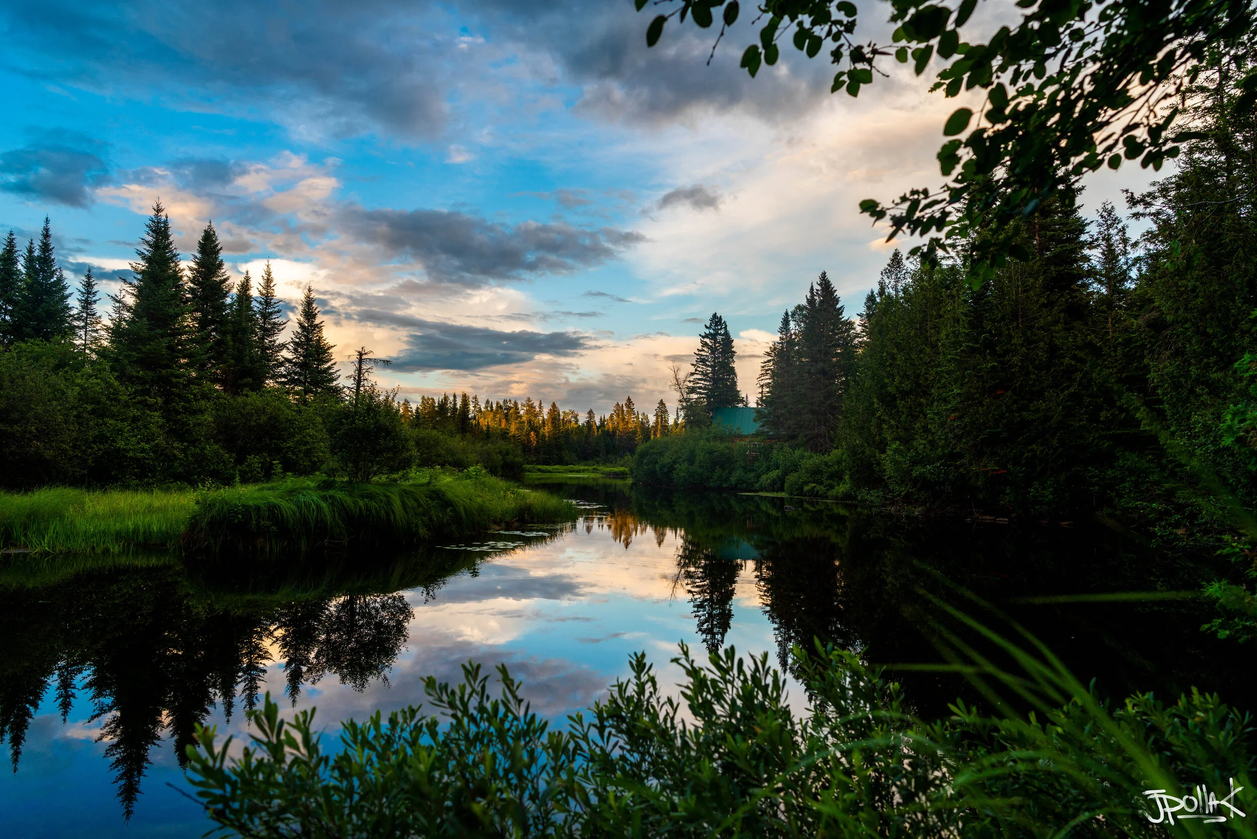 DSC07529-Edit - Copy.jpg