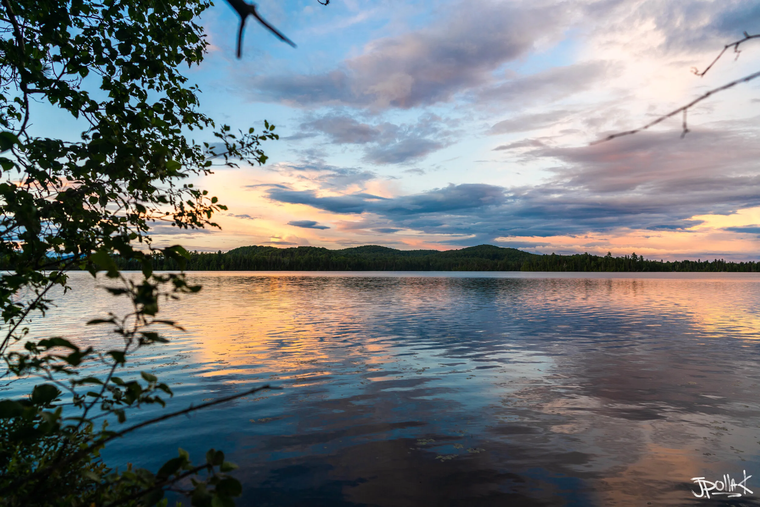 DSC07584 - Copy (2).jpg