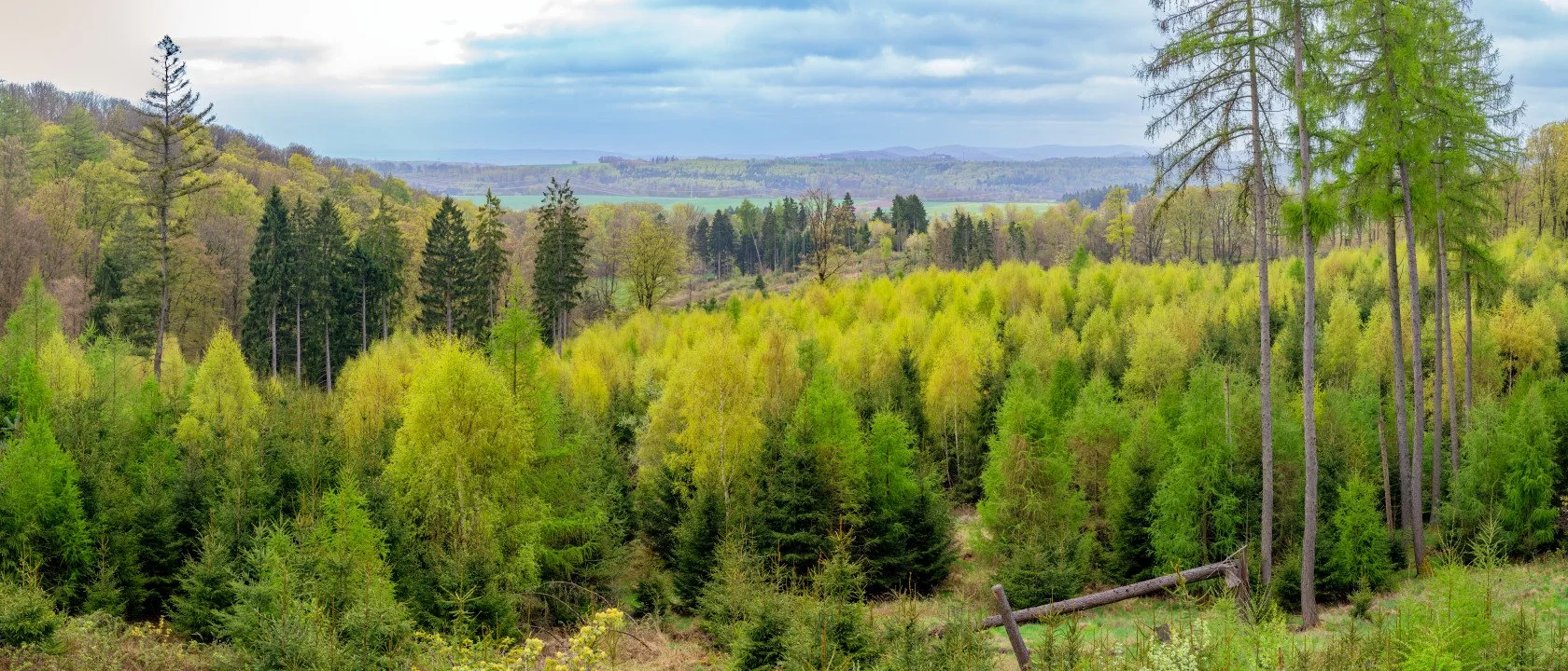 Waldeck, April 2026