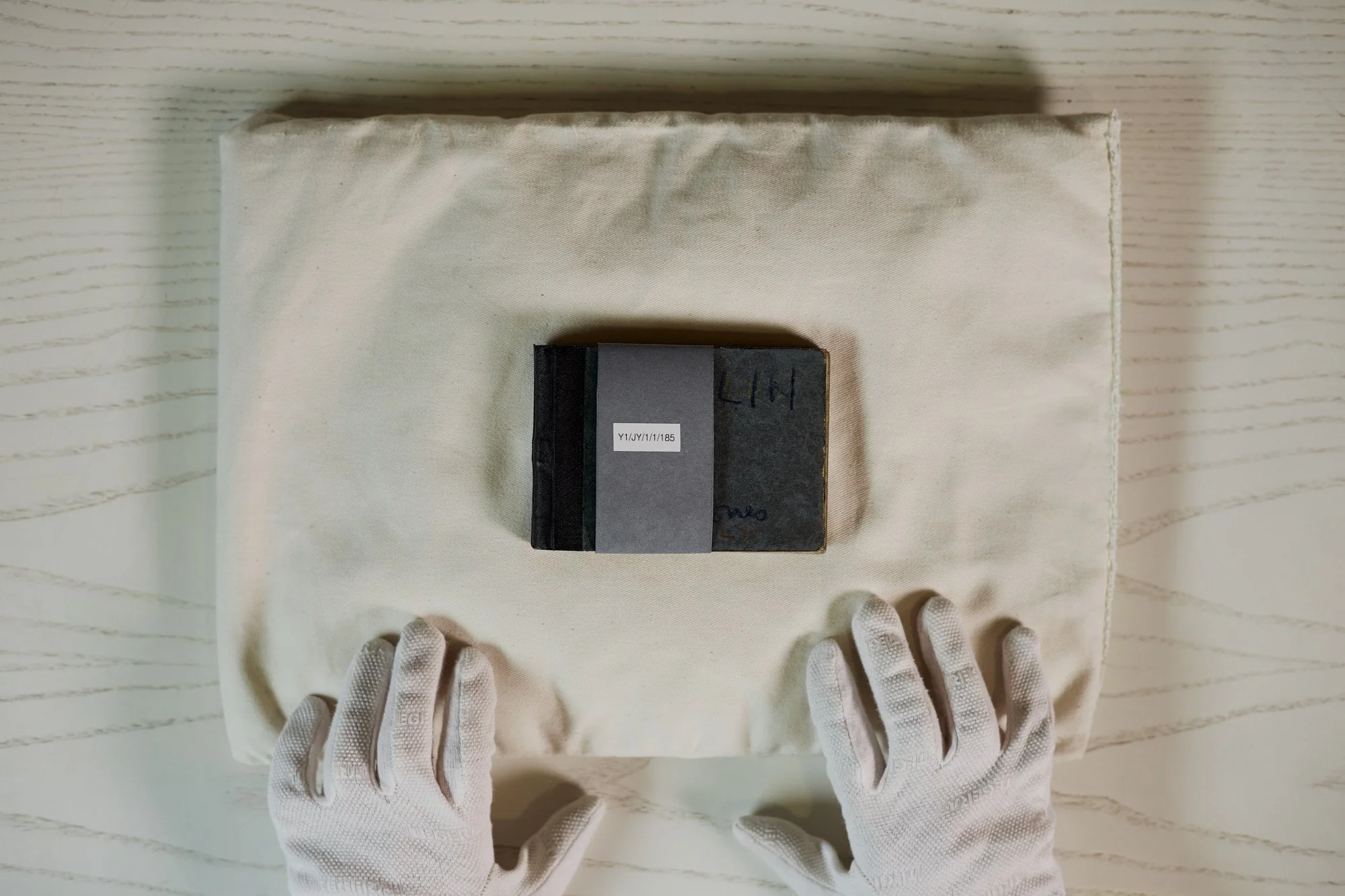 Performing NGI 9.jpg