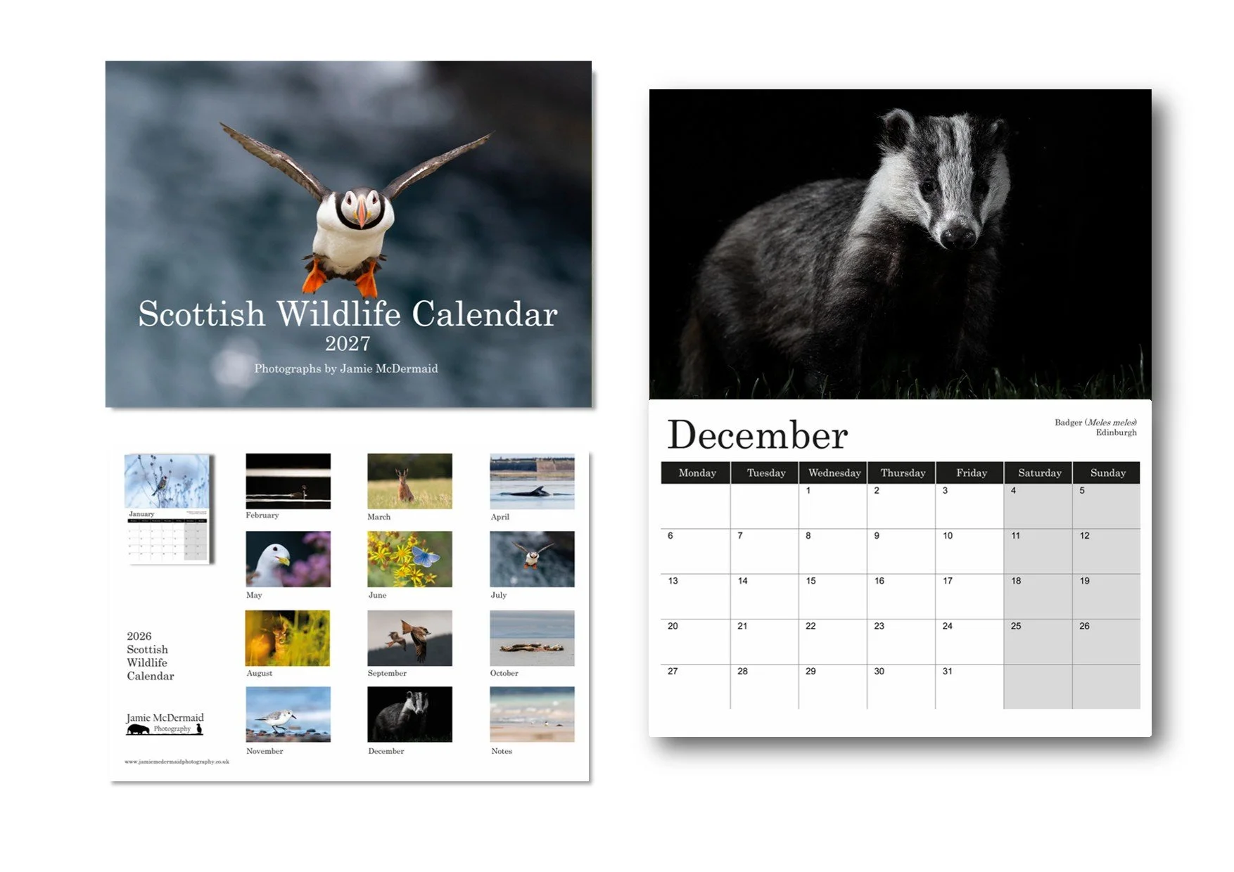 calendar promo 2027.jpg
