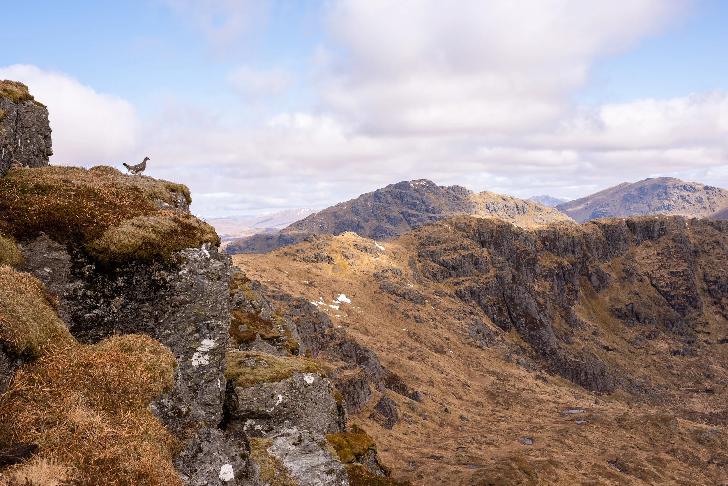 Ptarmigan Outlook-2.jpg