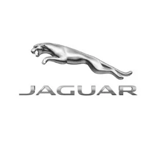 Jaguar.jpg