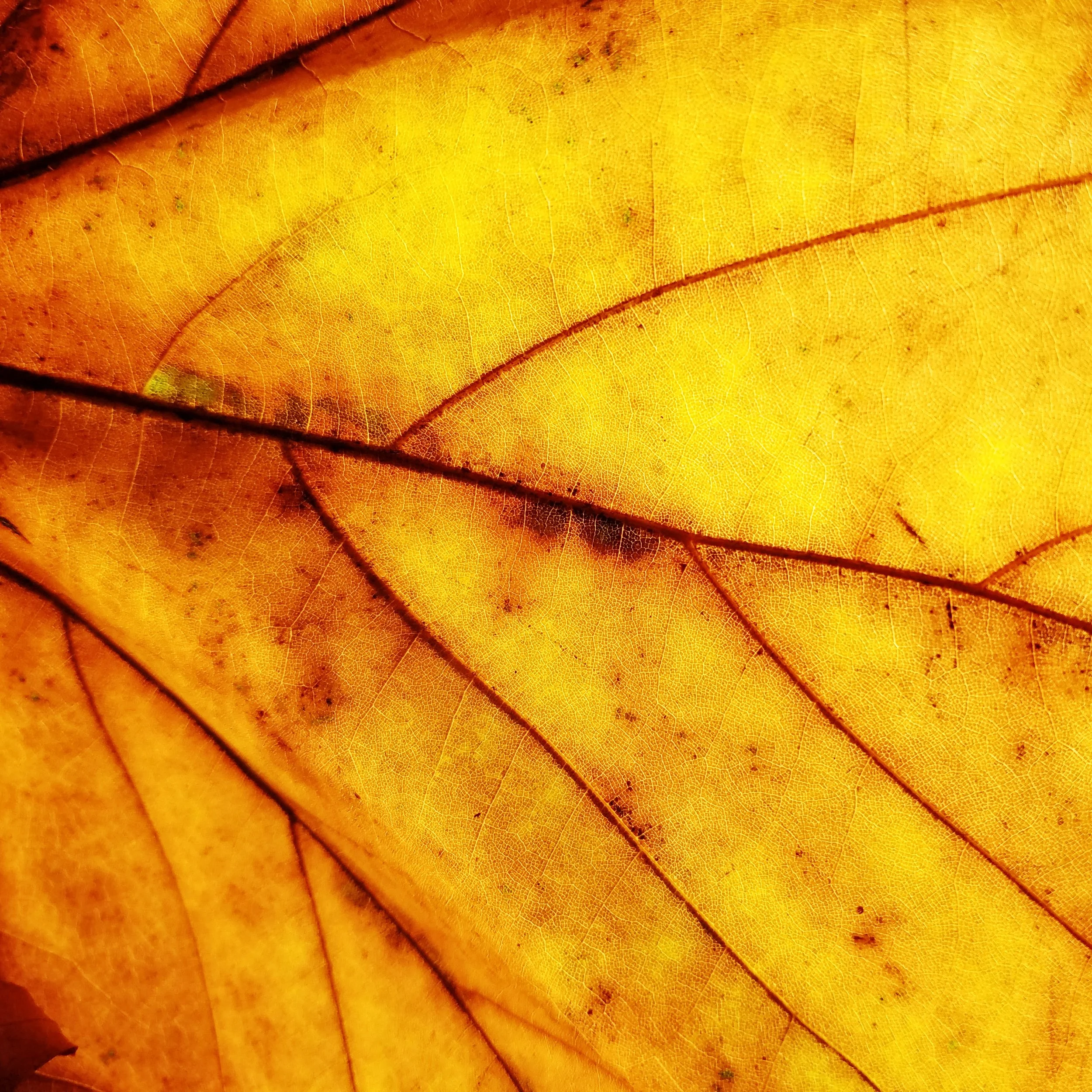 artwork_6a7f6301.jpg
