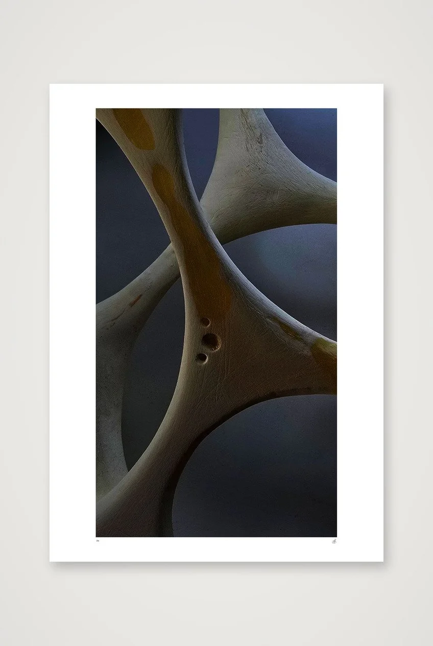 shot_table_832d291a.jpg